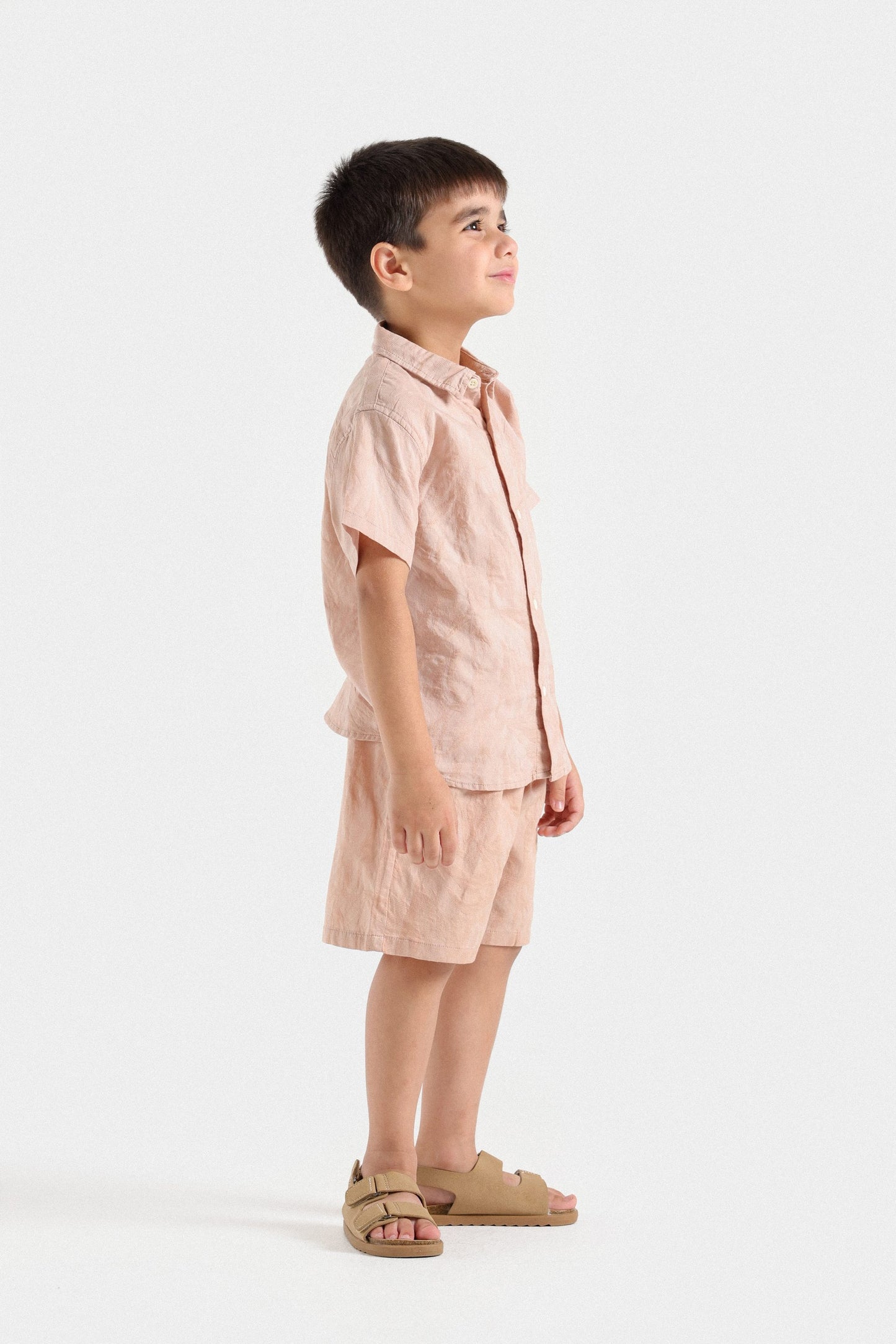 Pale Coral