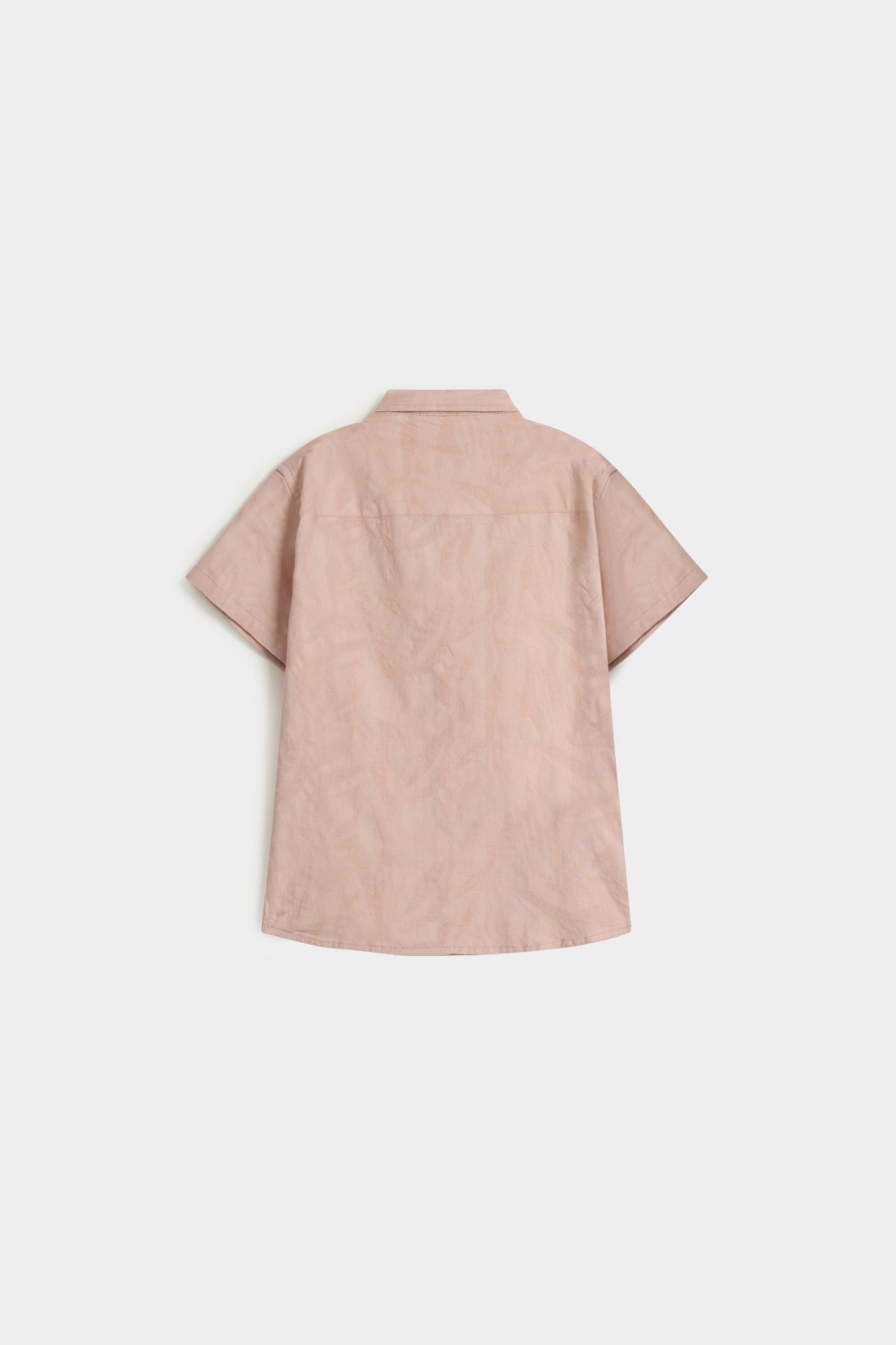 Pale Coral