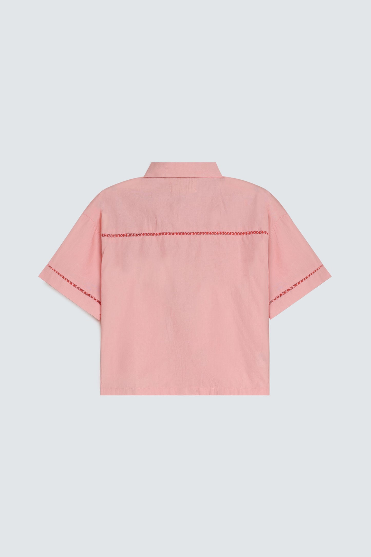 Pale Coral