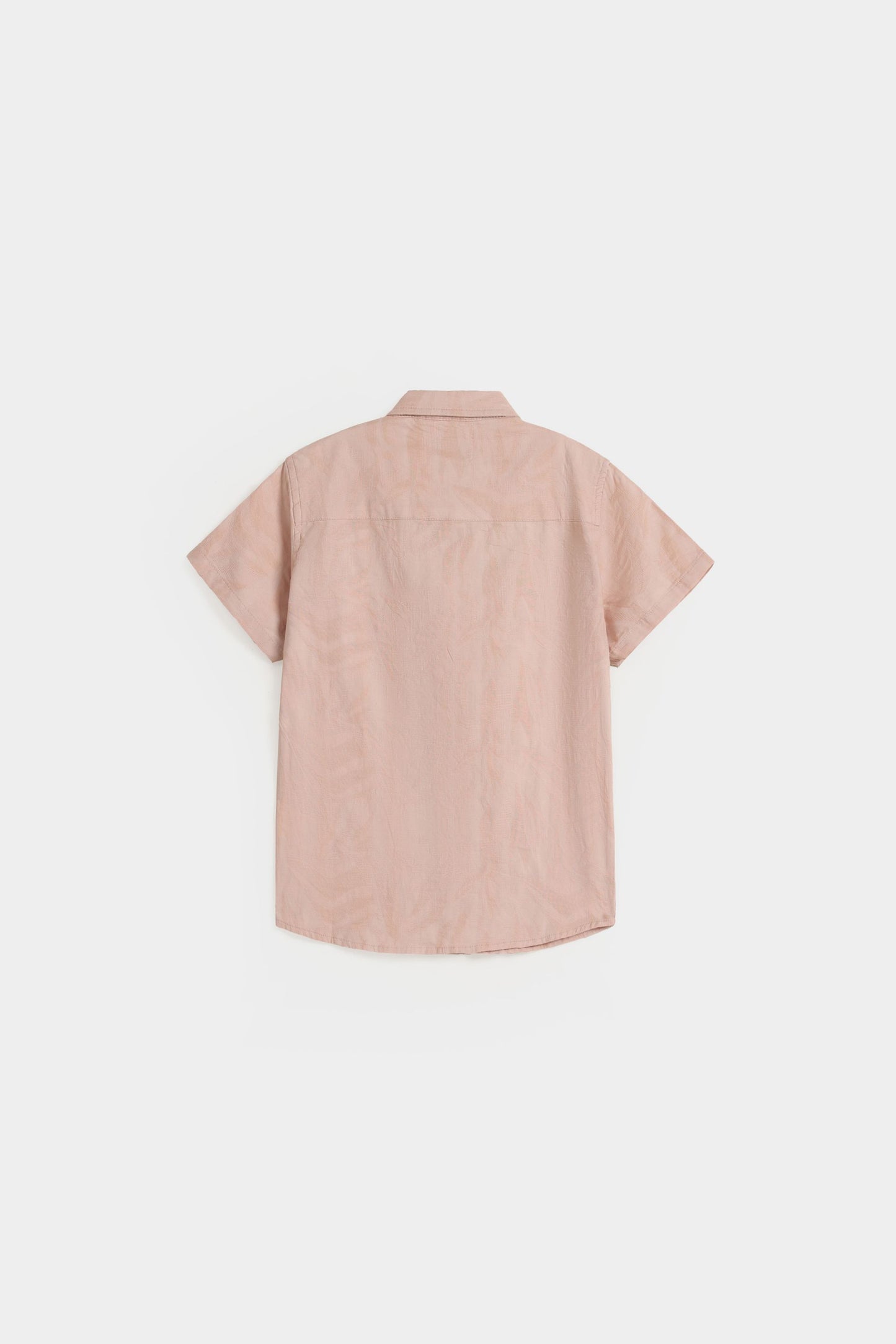 Pale Coral