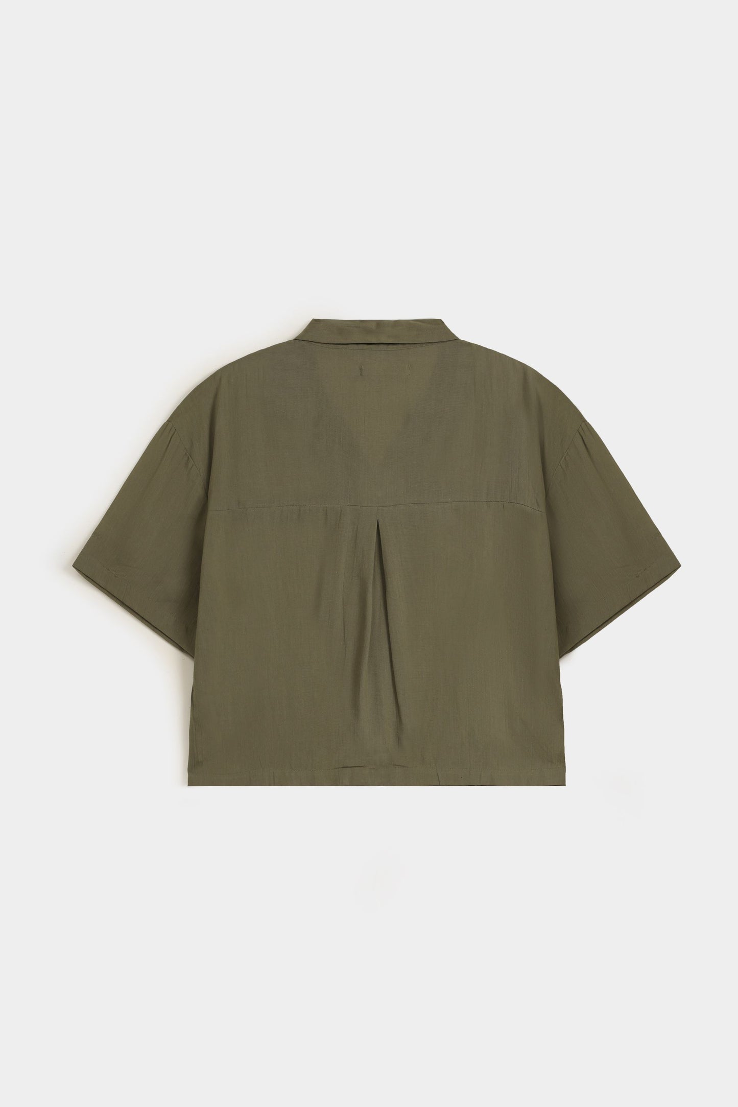 Mid Olive
