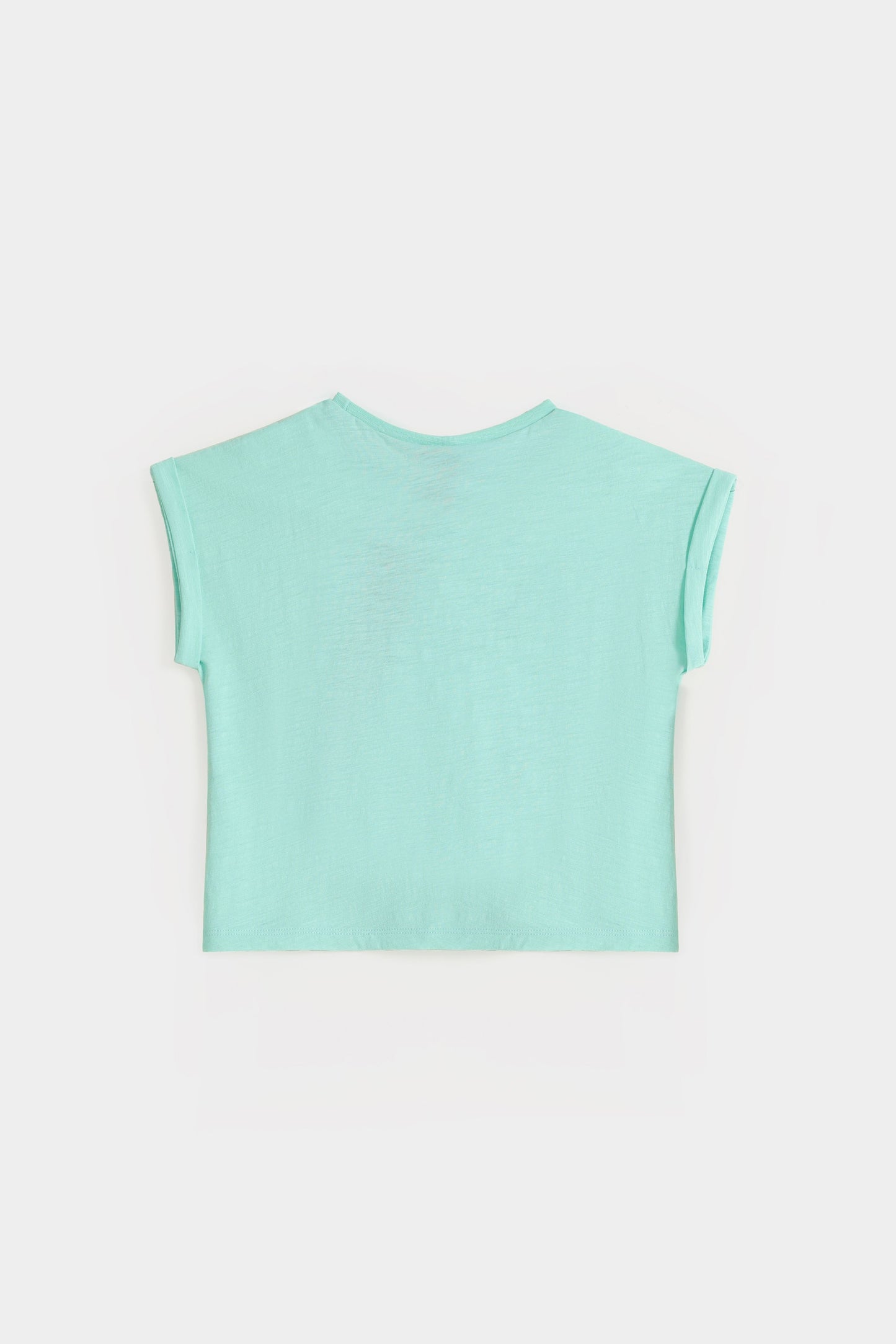 Light Sea Green