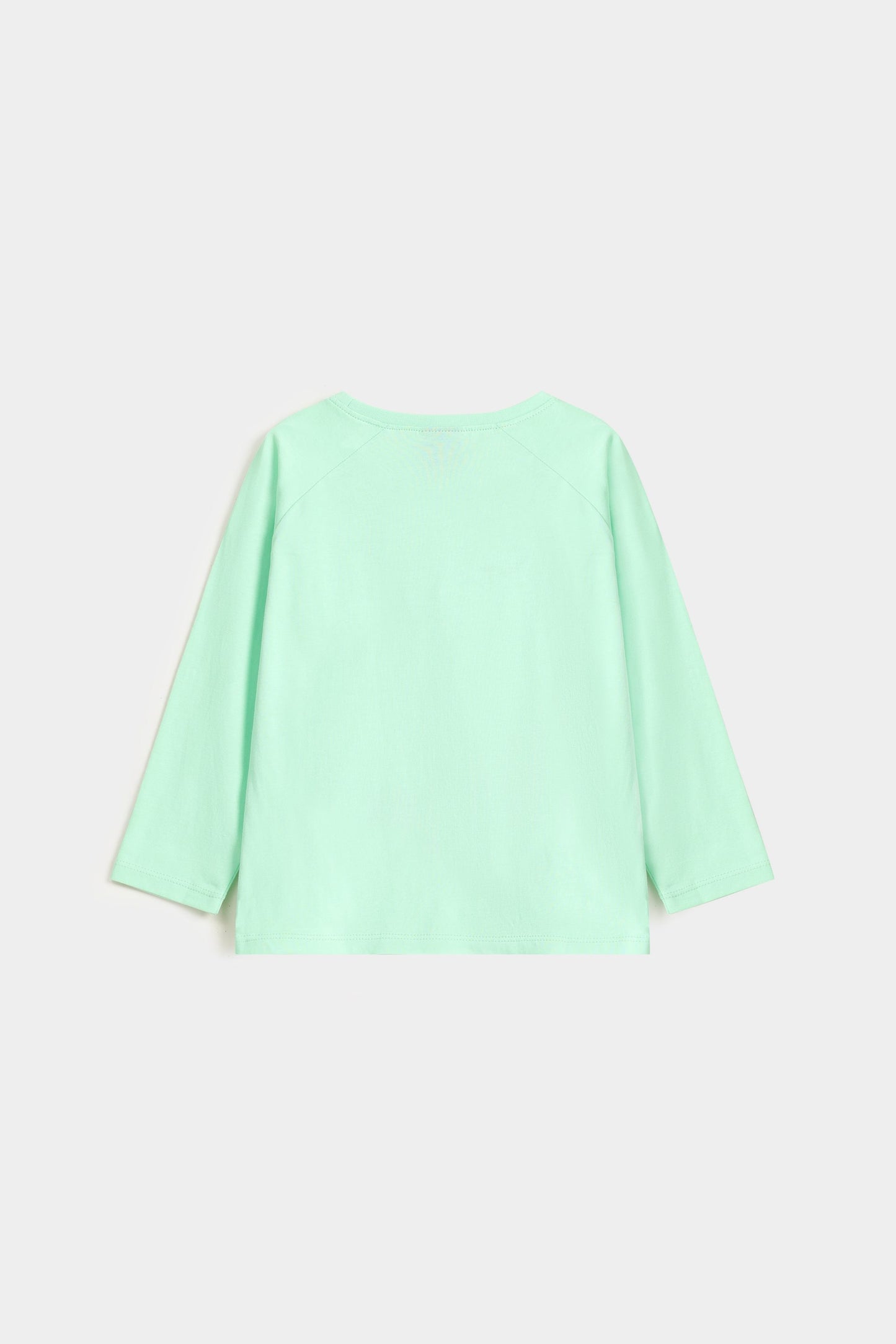 Pastel Green