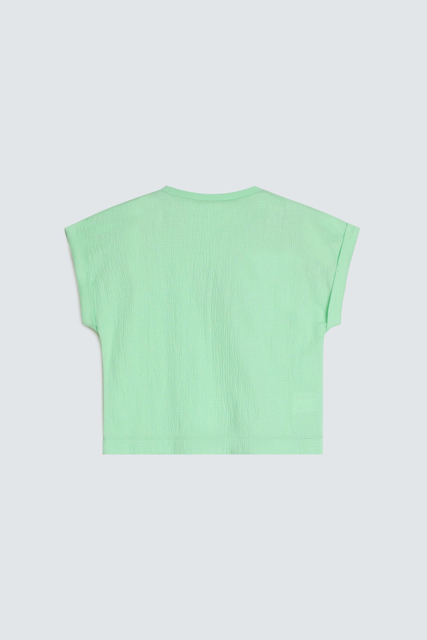 Light Sea Green