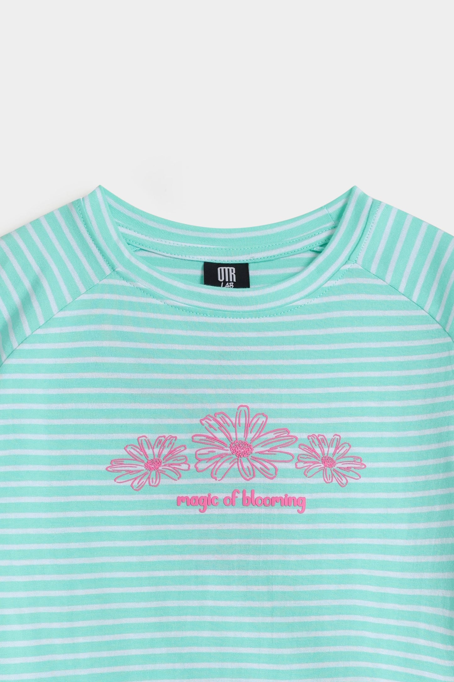 Pastel Green