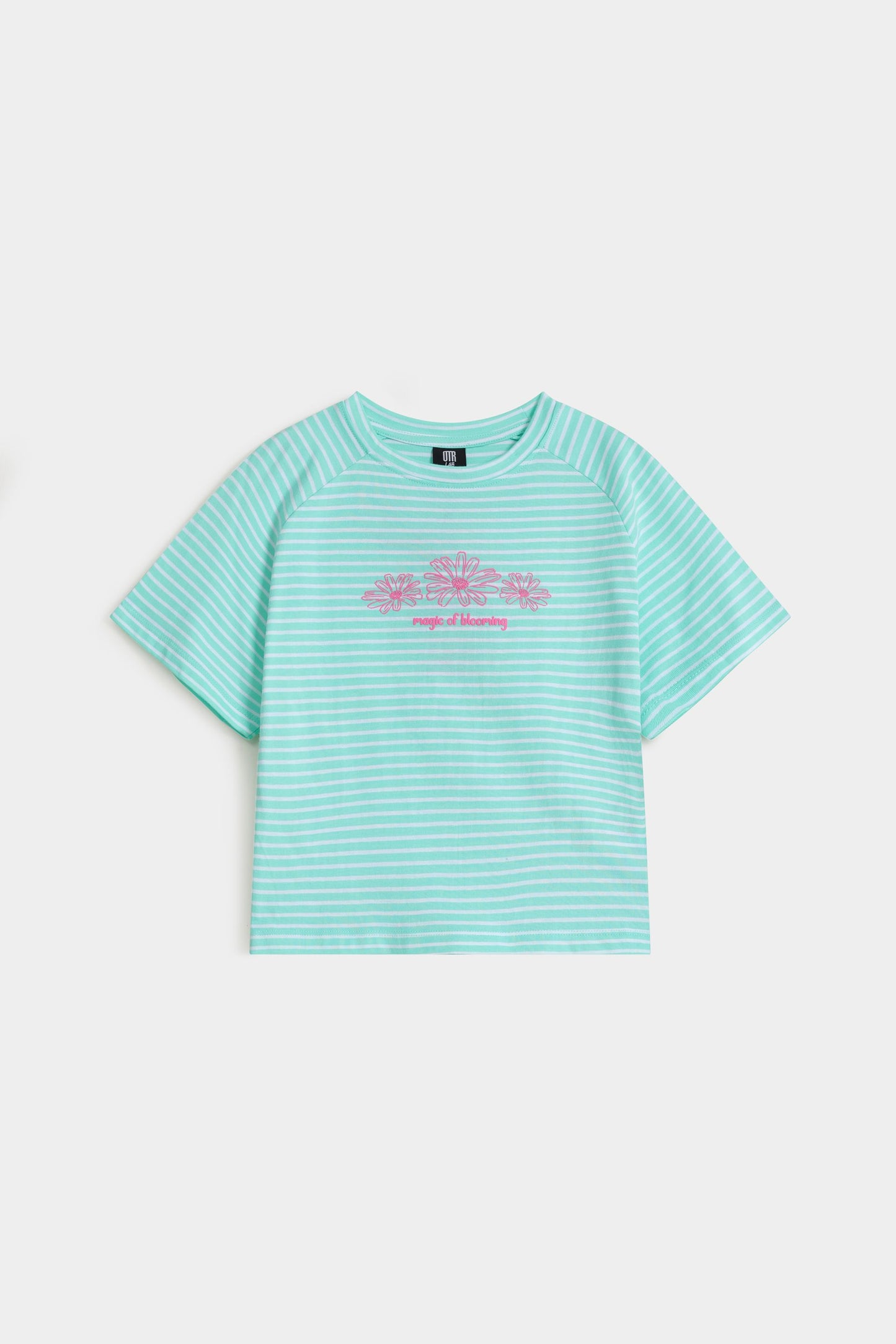 Pastel Green