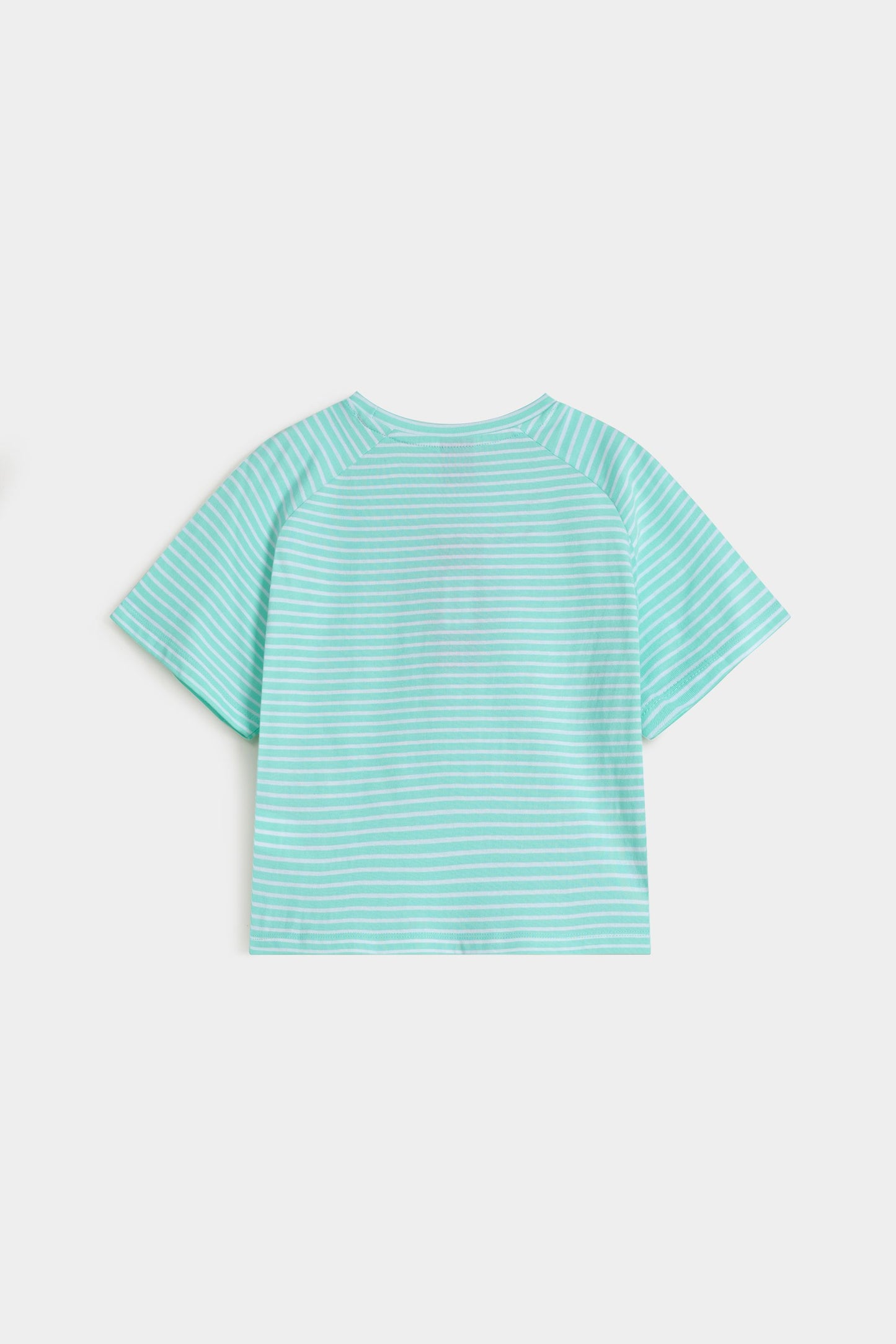 Pastel Green