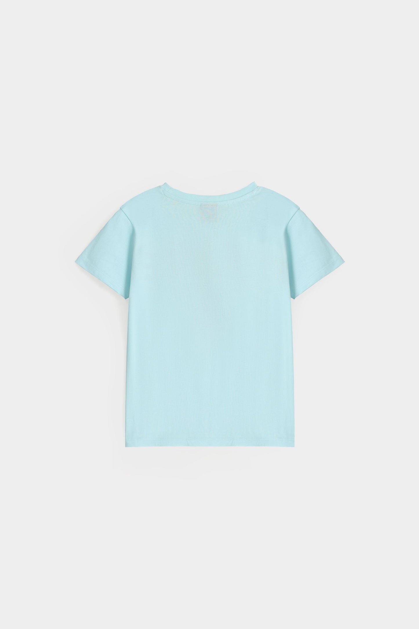 Light Aqua