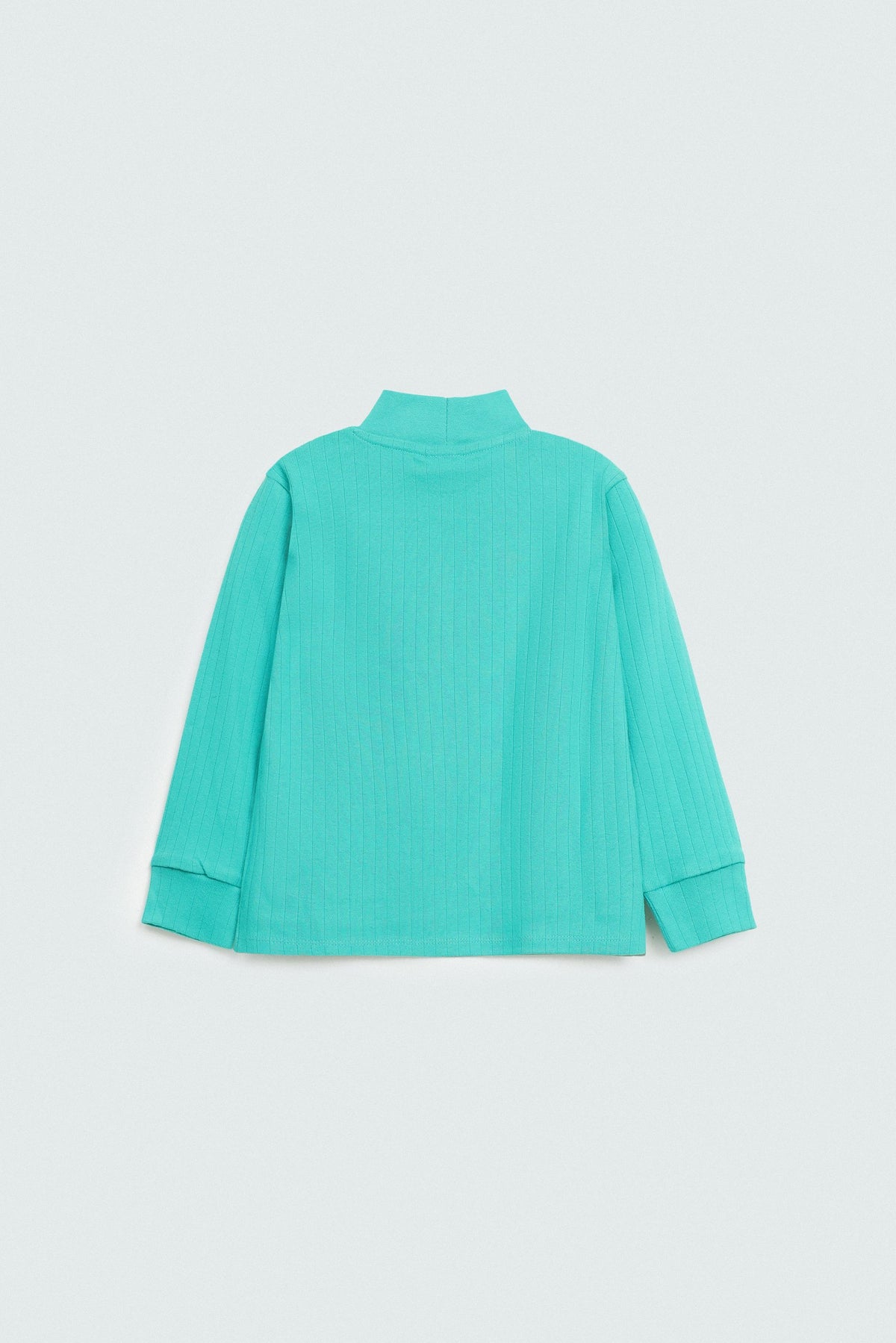 Light Sea Green