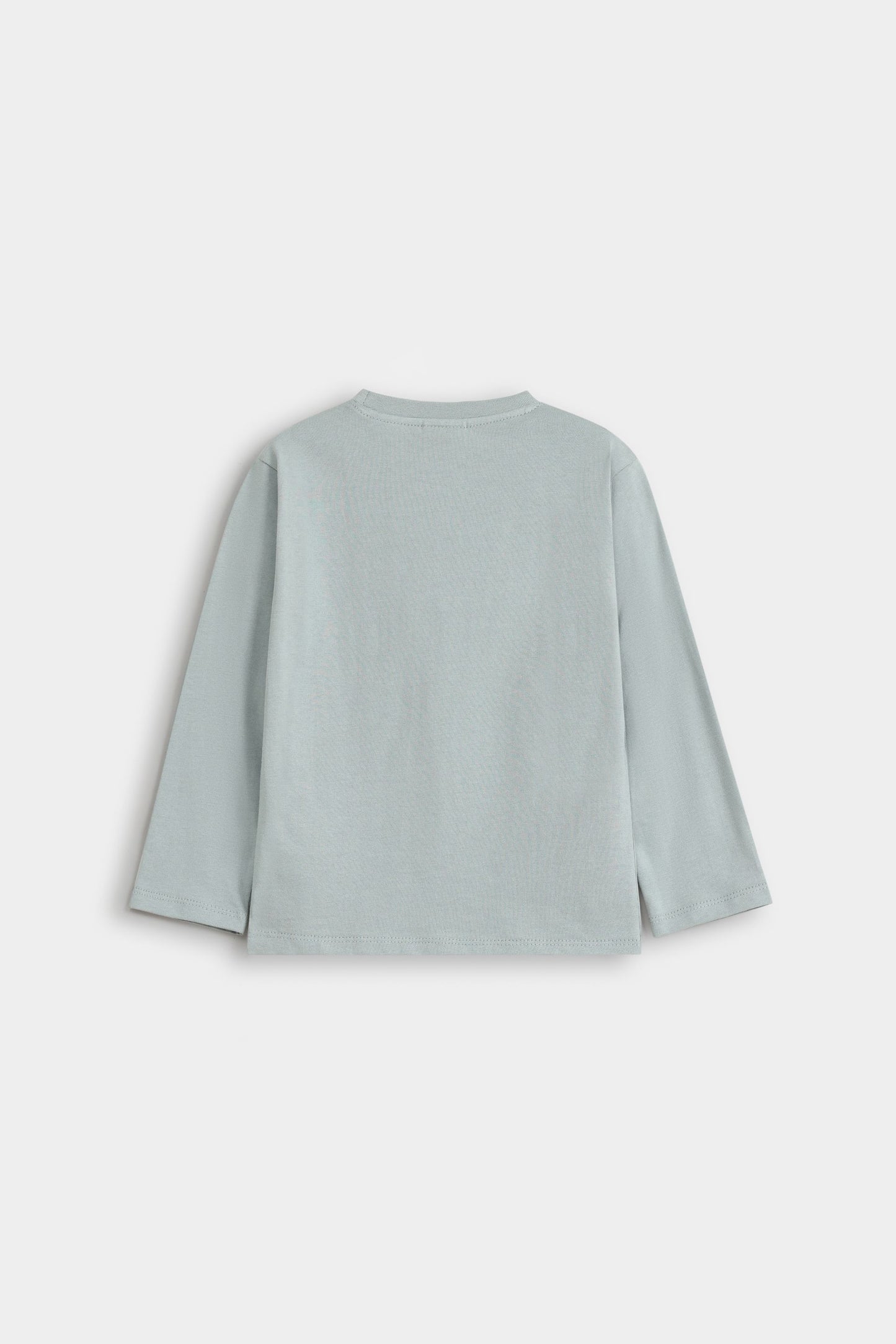 Dull Green