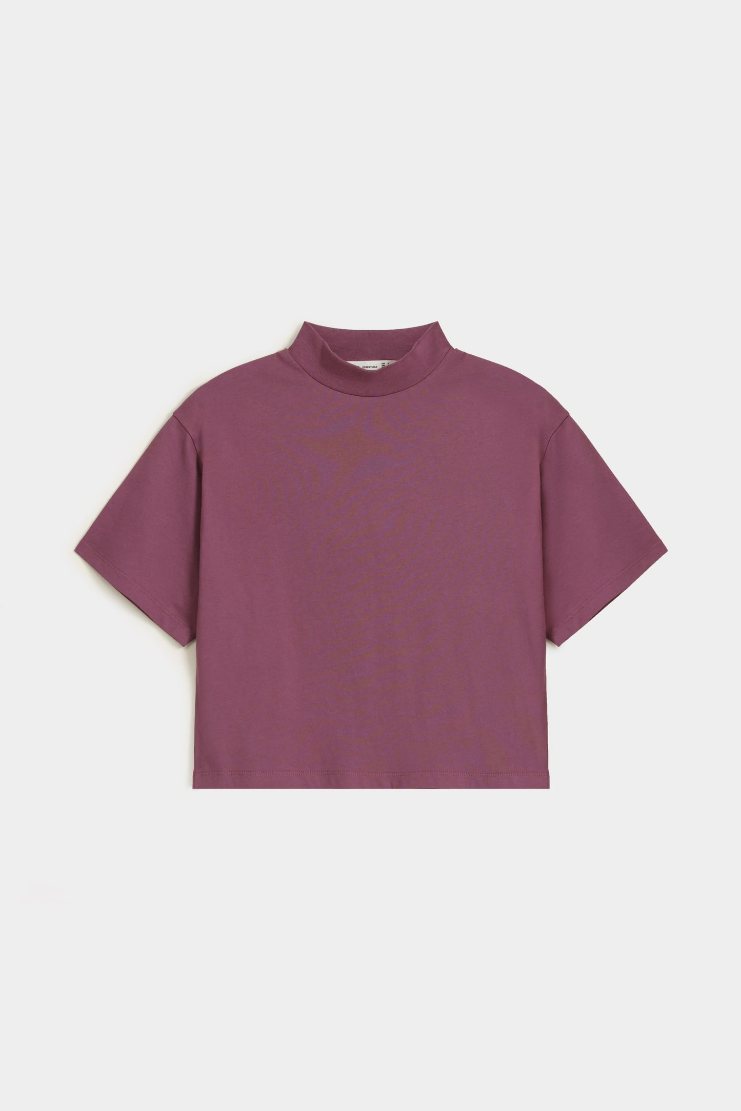 Cloudy Violet