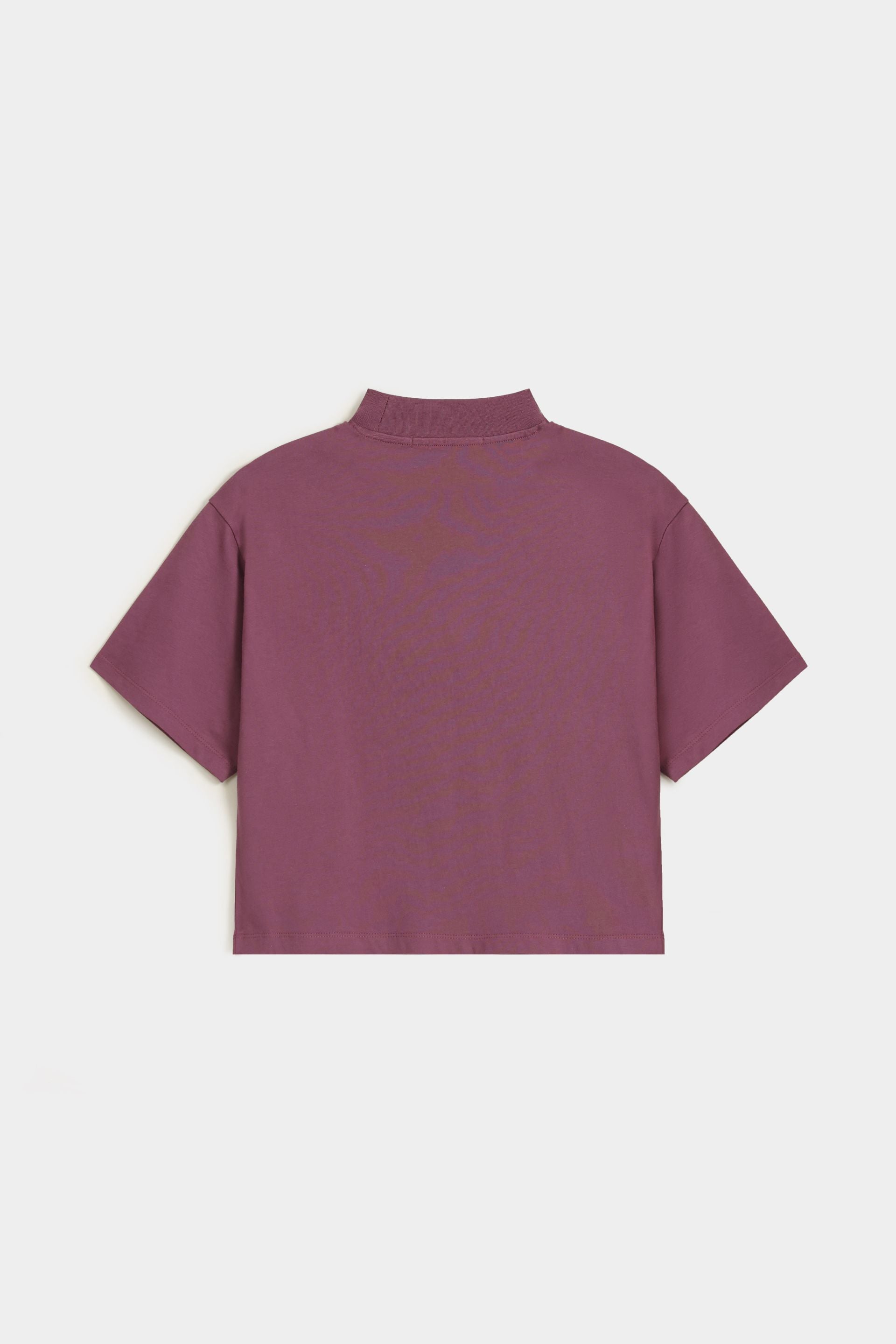 Cloudy Violet