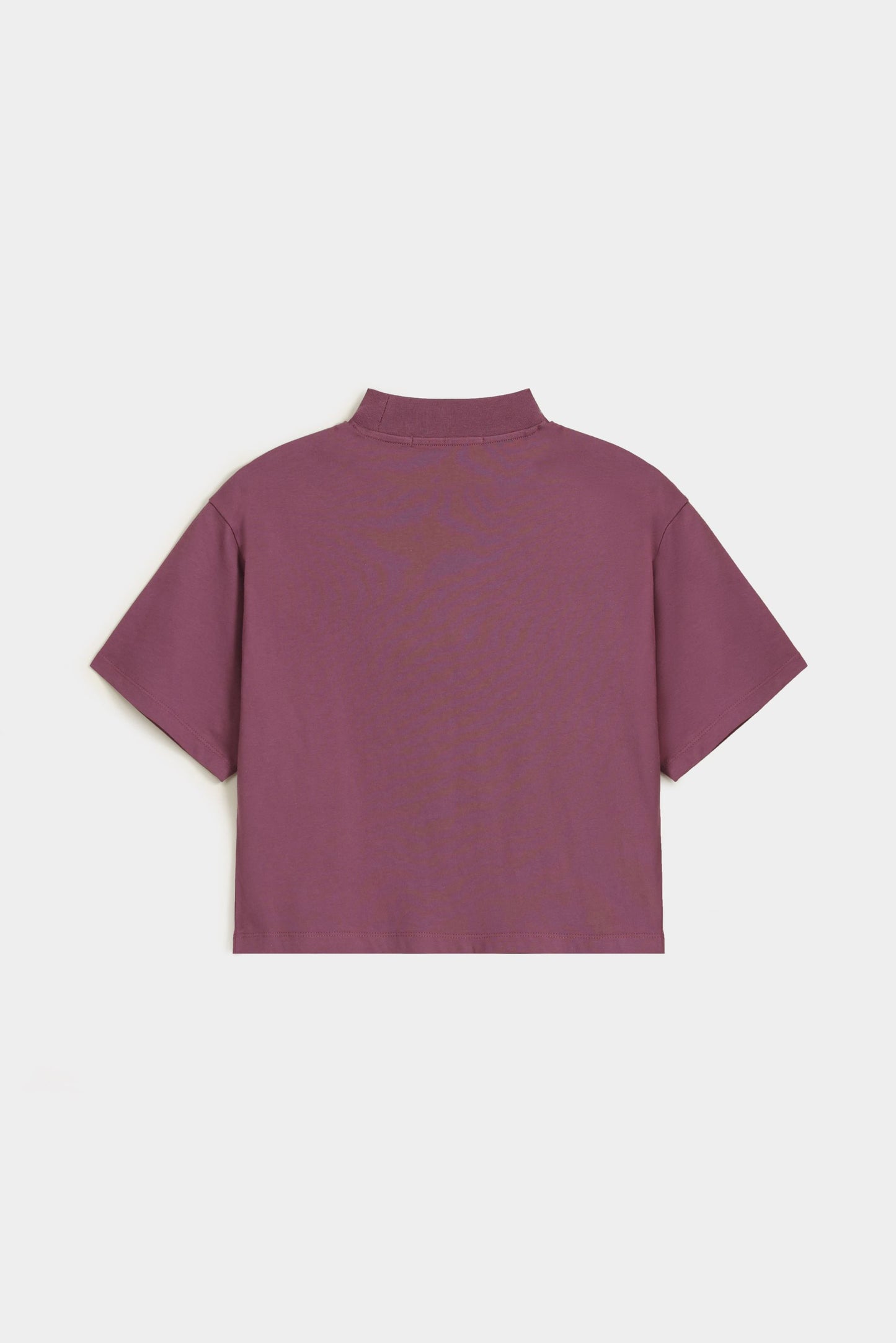 Cloudy Violet