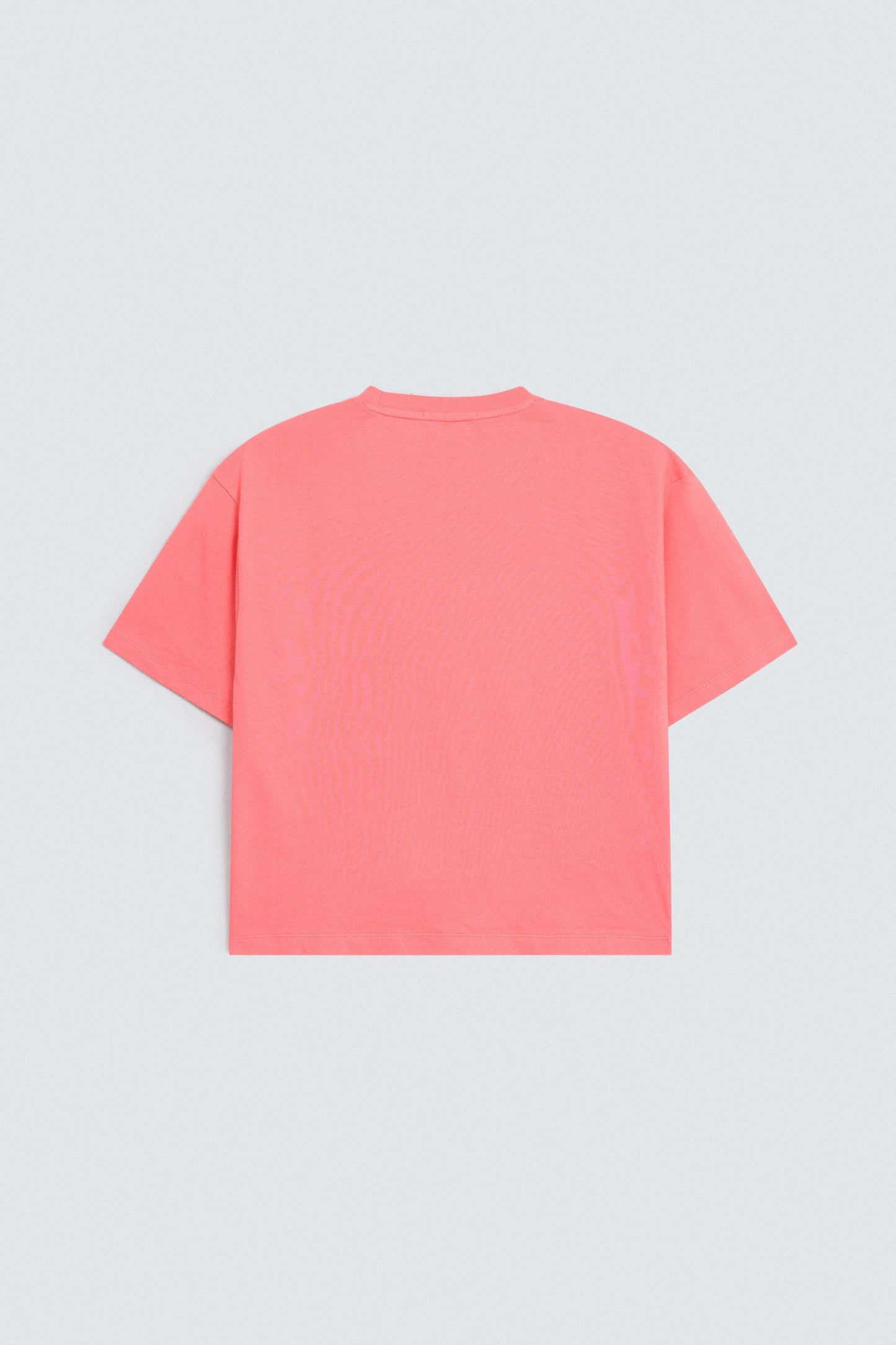 Baby Coral