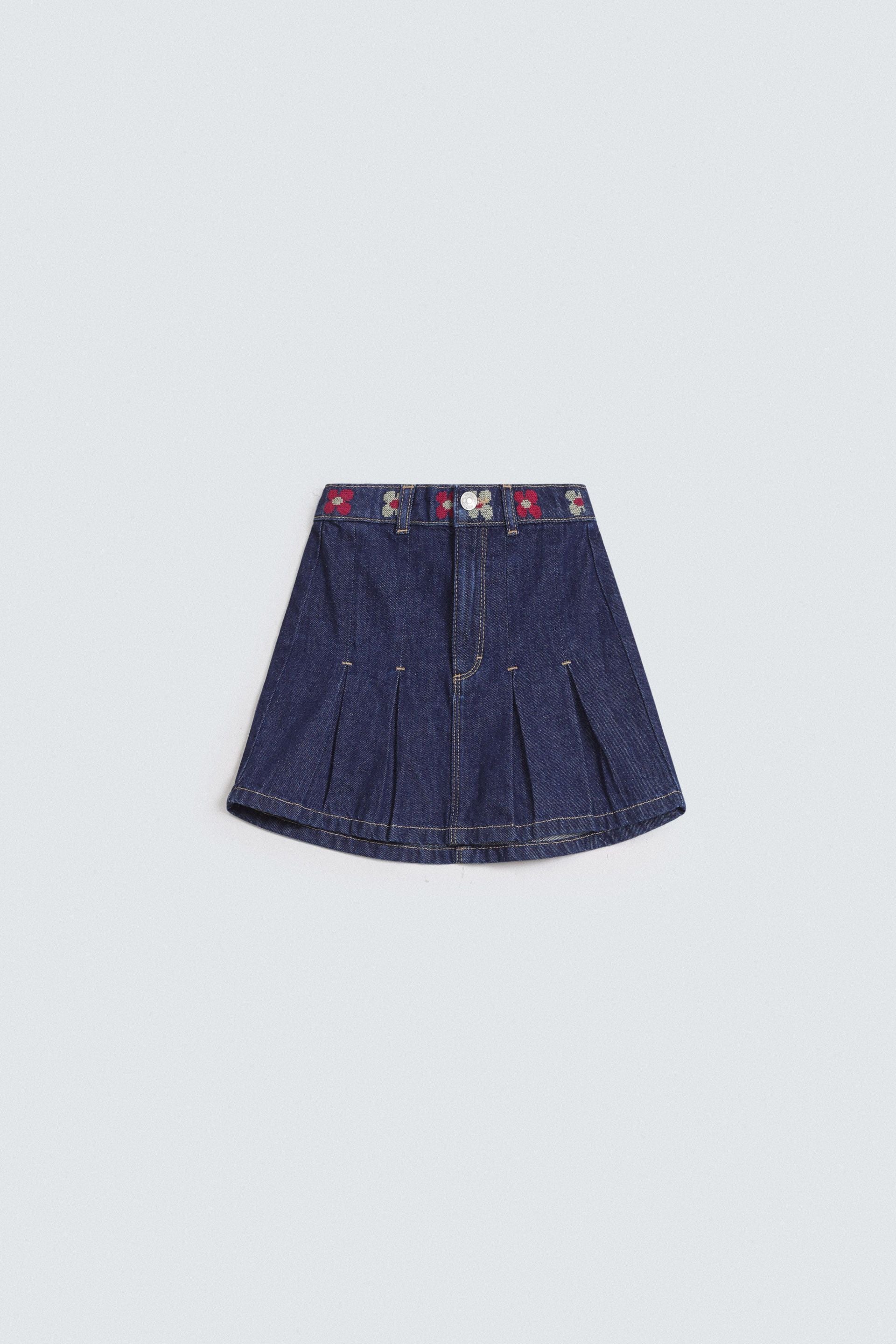 Embroidered Skirt With Pleats