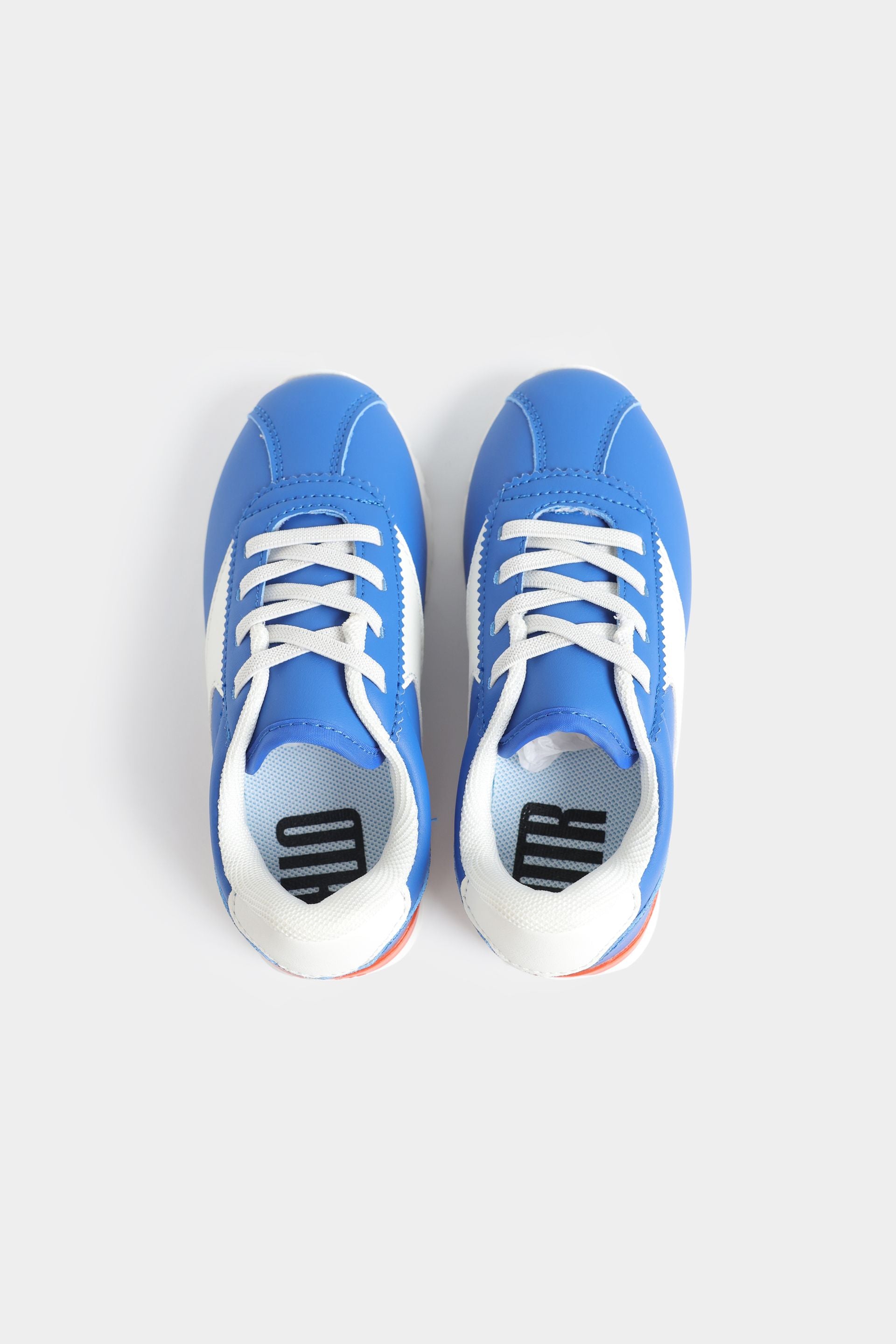 Blue Ice