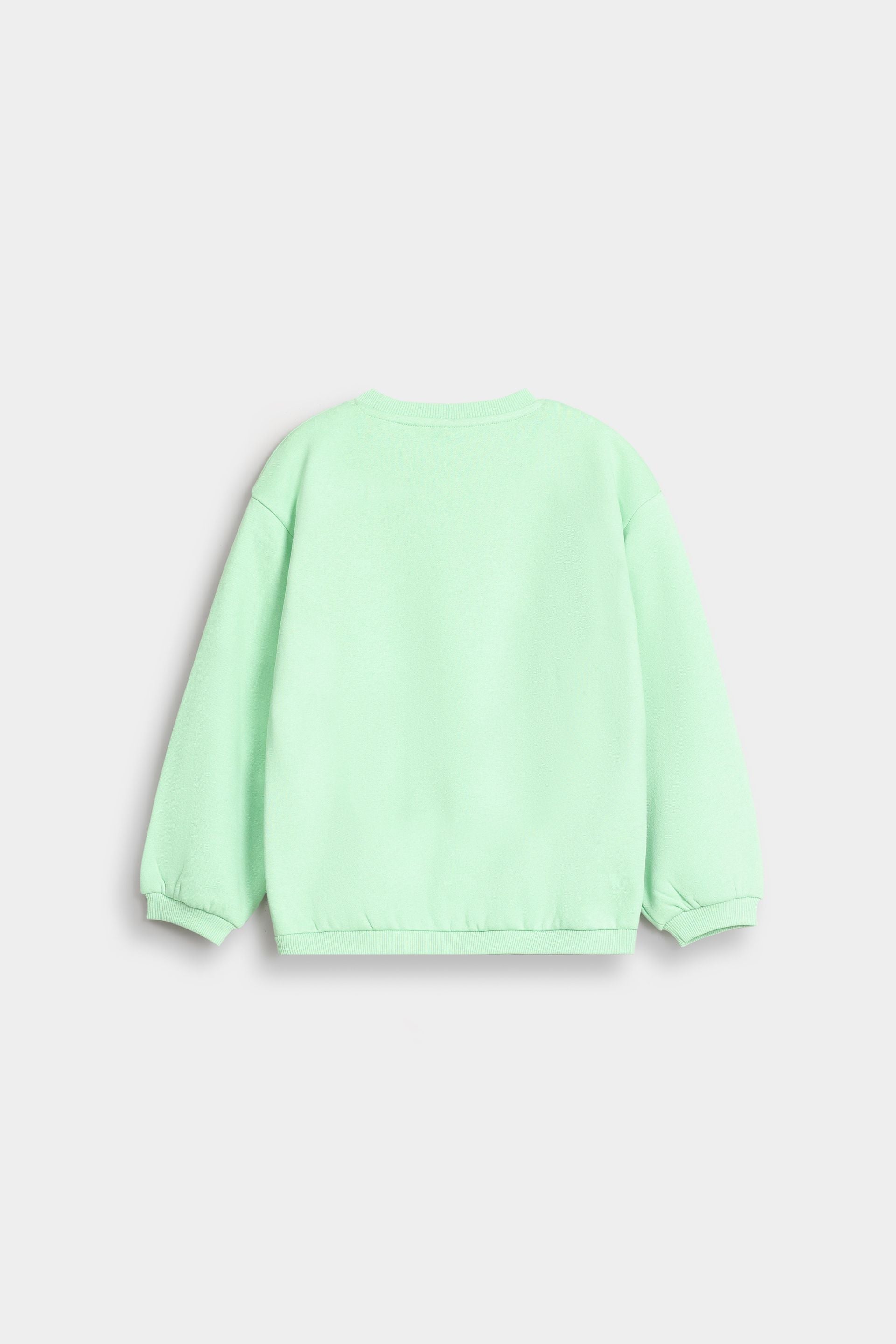 Pastel Green