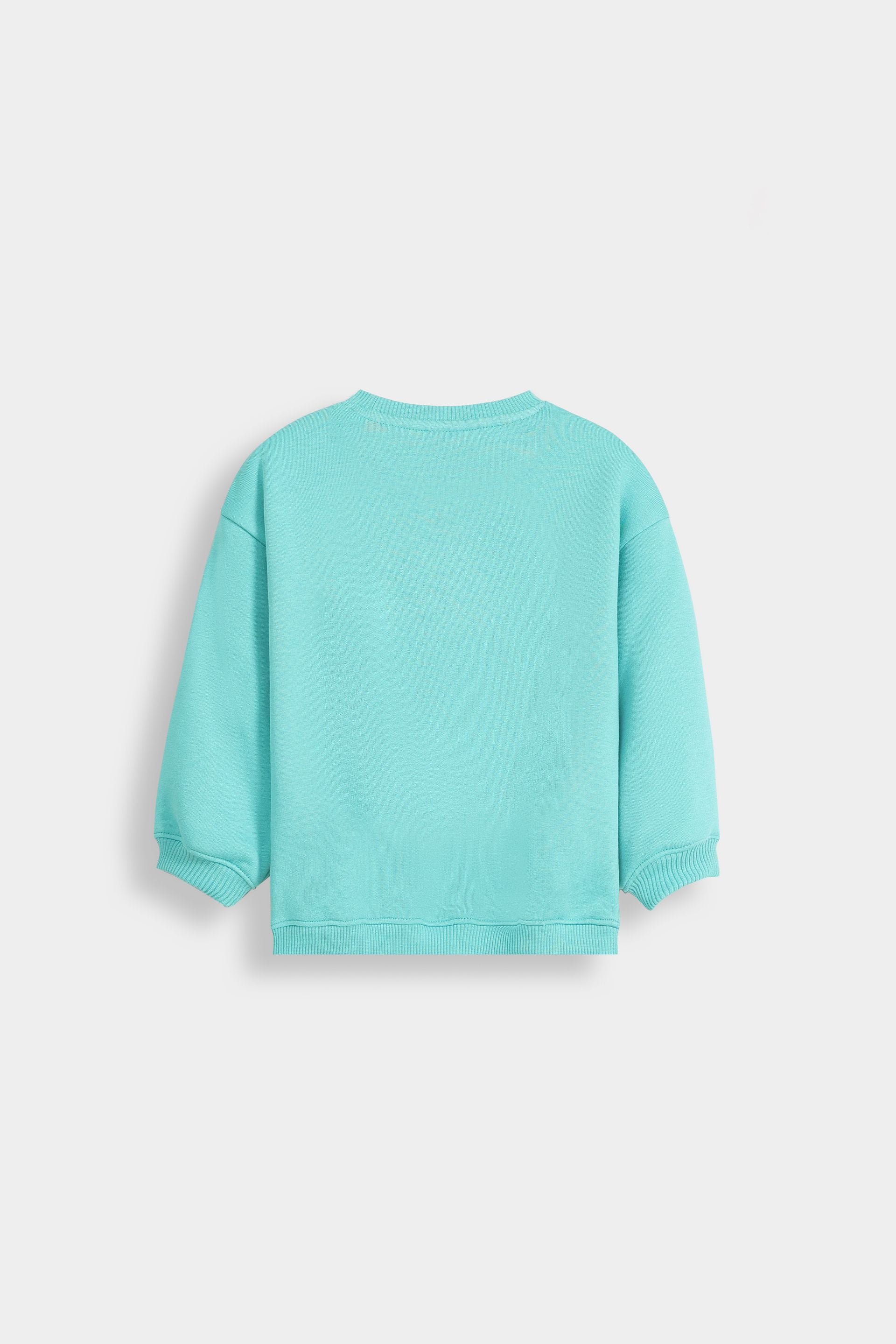 Light Sea Green