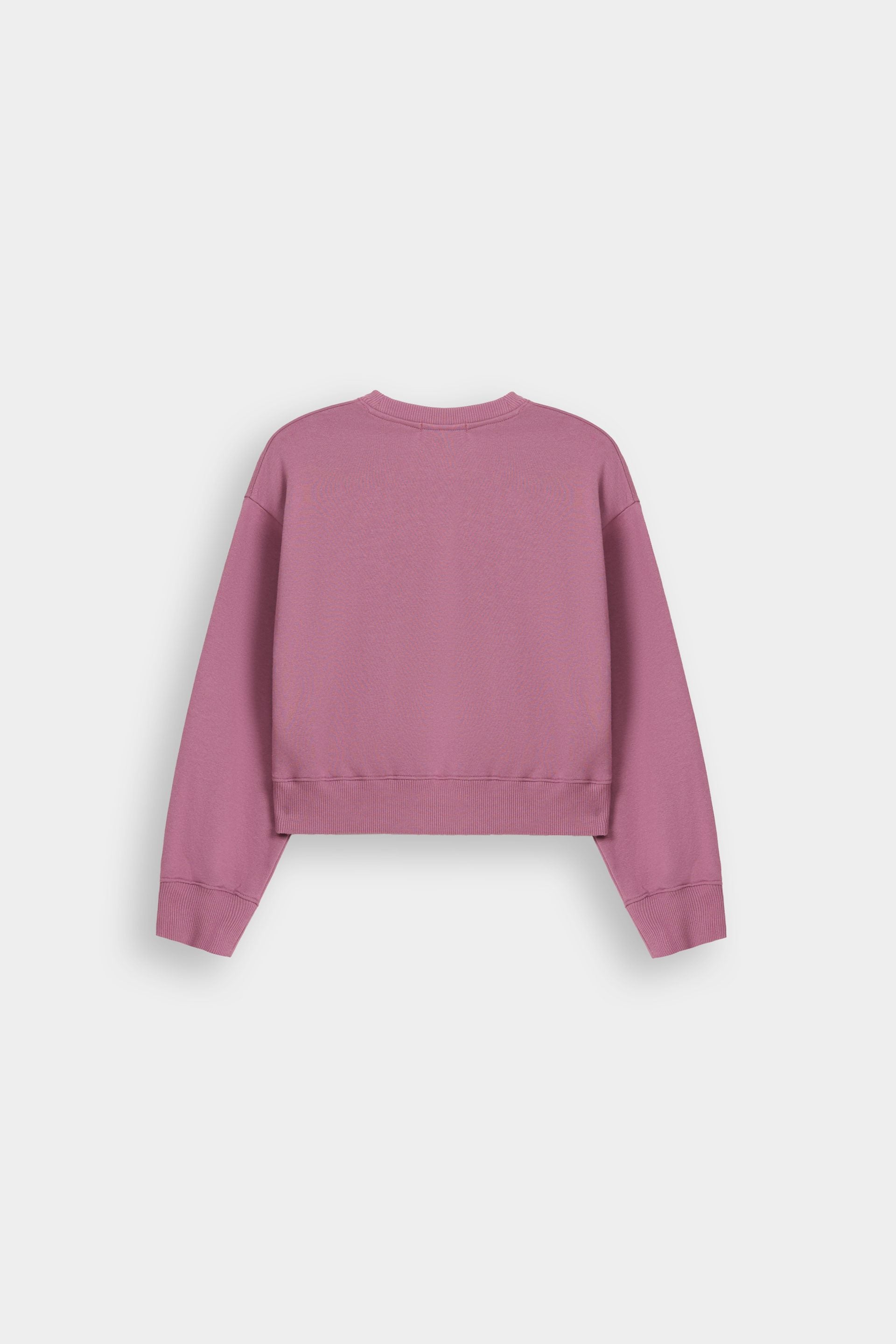Cloudy Violet