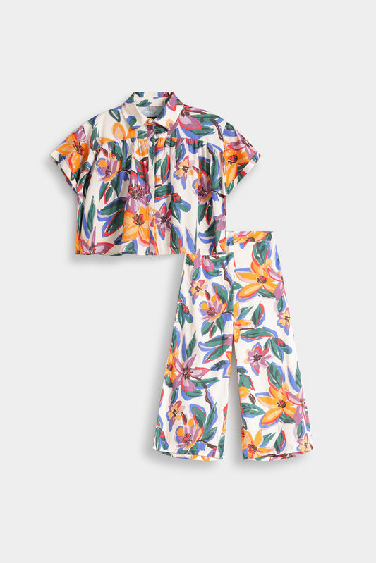 Multi Colour