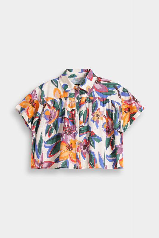 Multi Colour