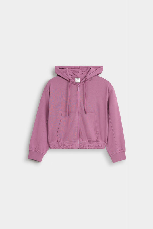 Cloudy Violet