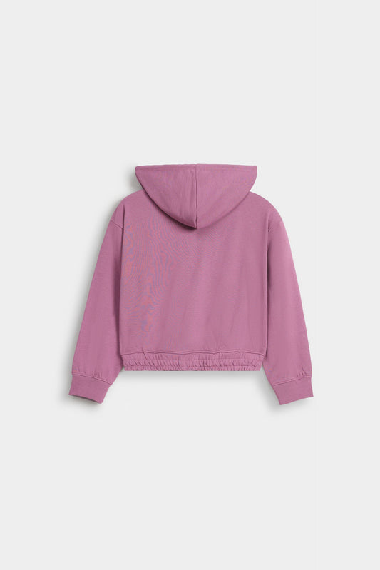 Cloudy Violet