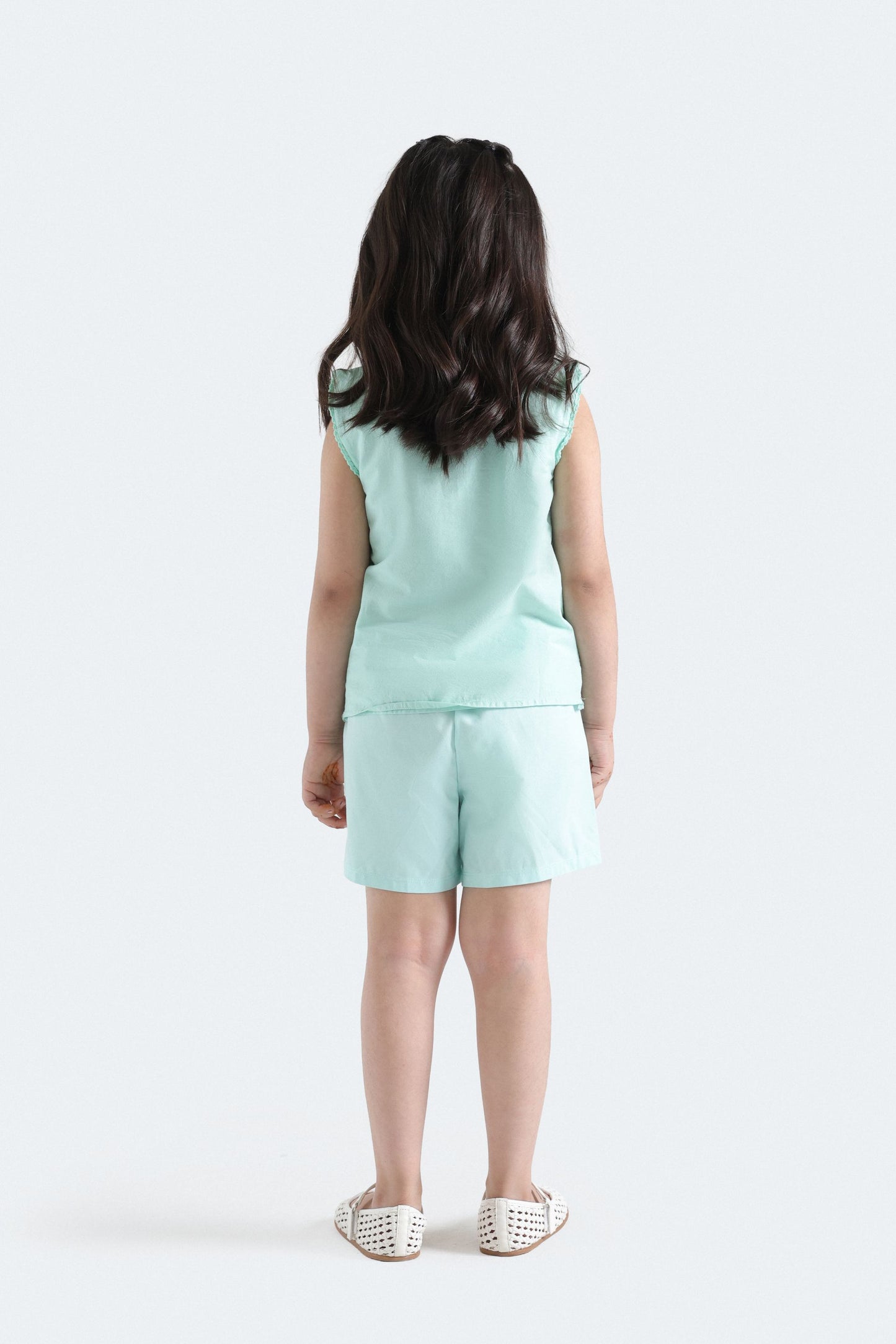 Light Sea Green