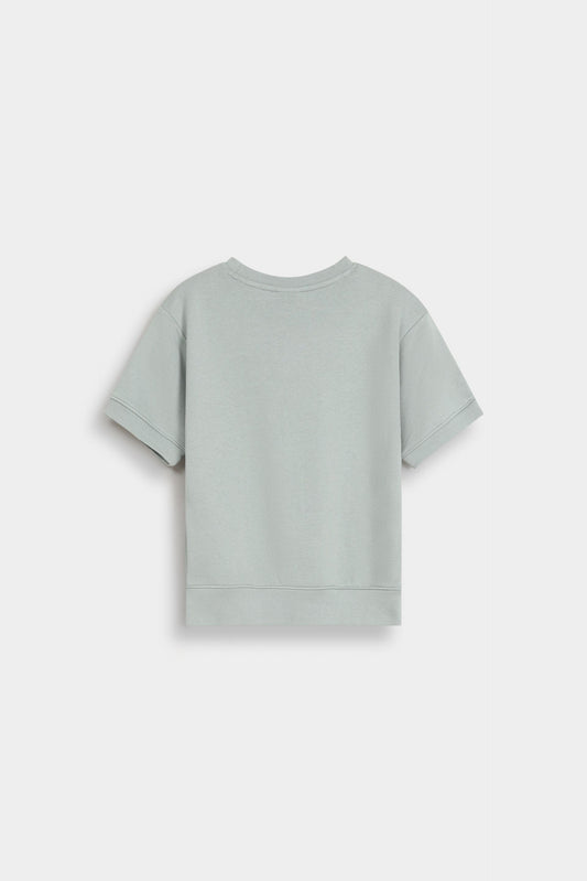 Dull Green
