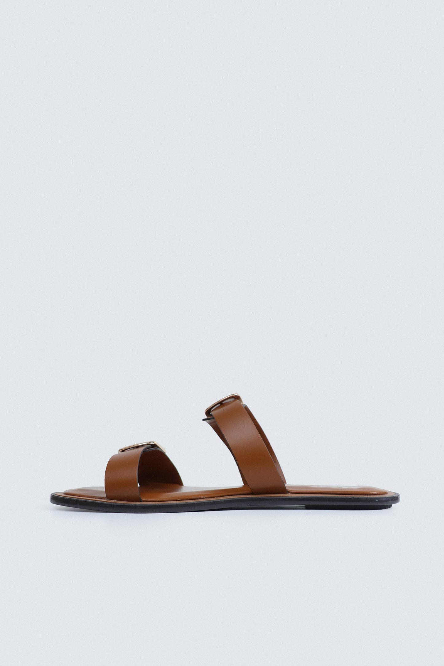 Chocolate Brown