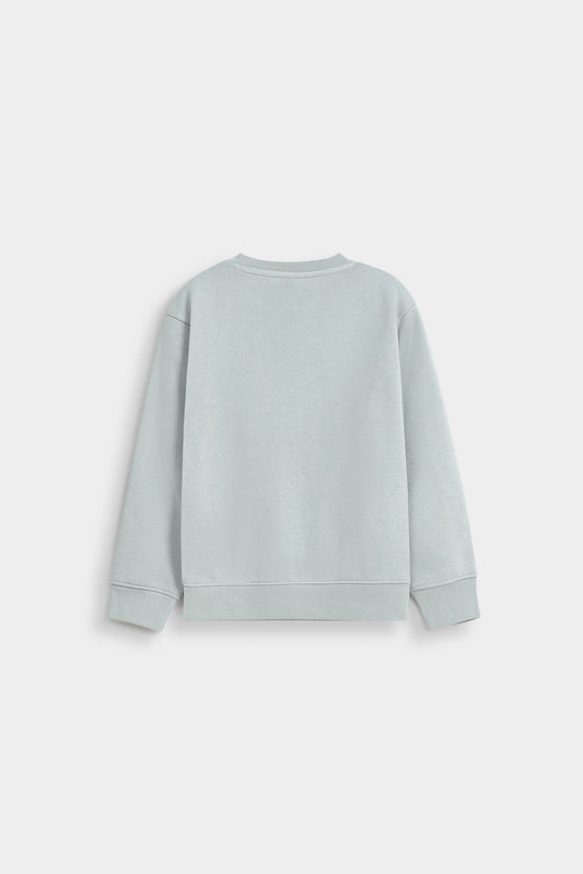 Dull Green