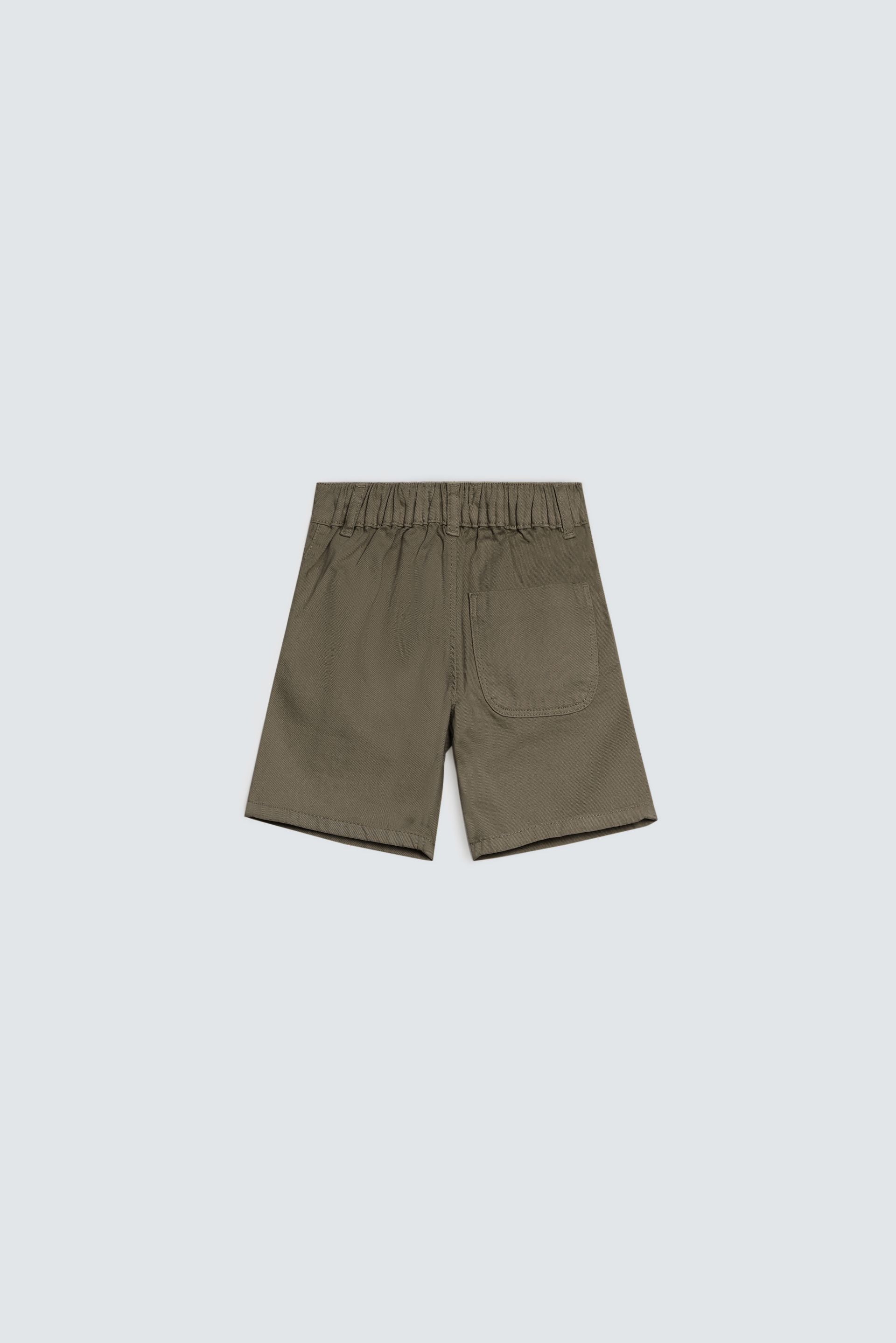 Dark Olive
