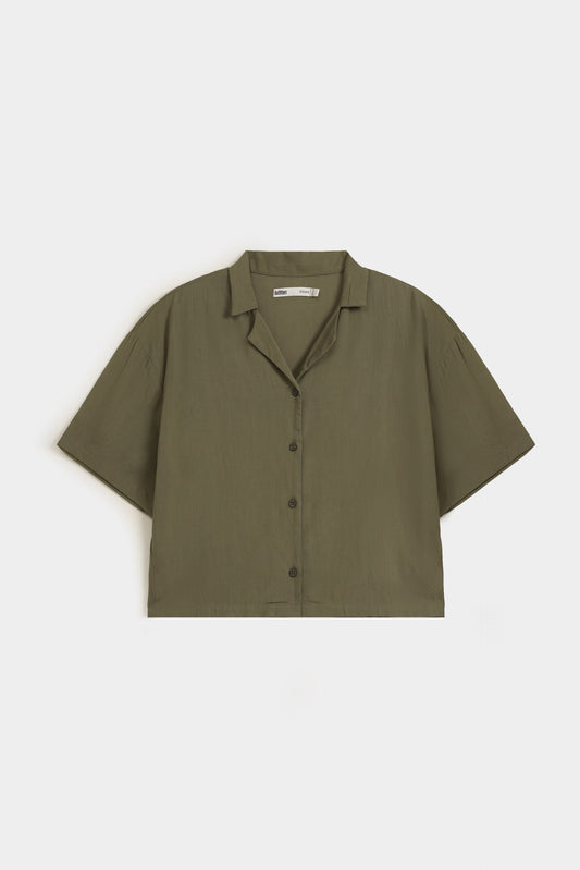 Mid Olive