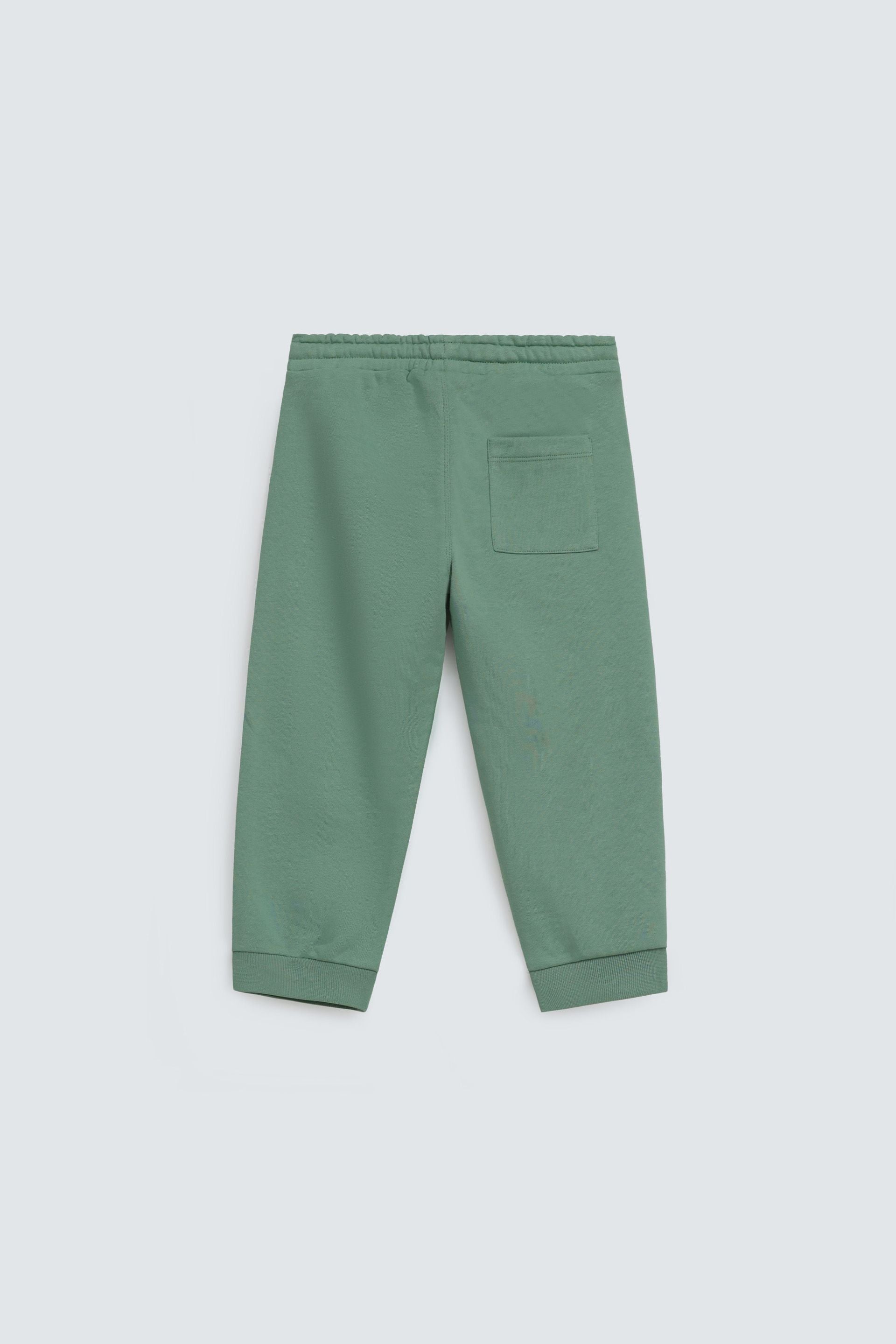 Dull Green