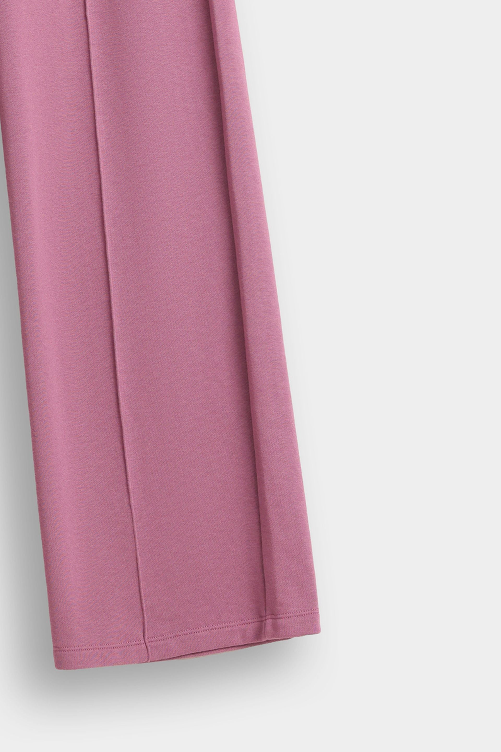 Cloudy Violet