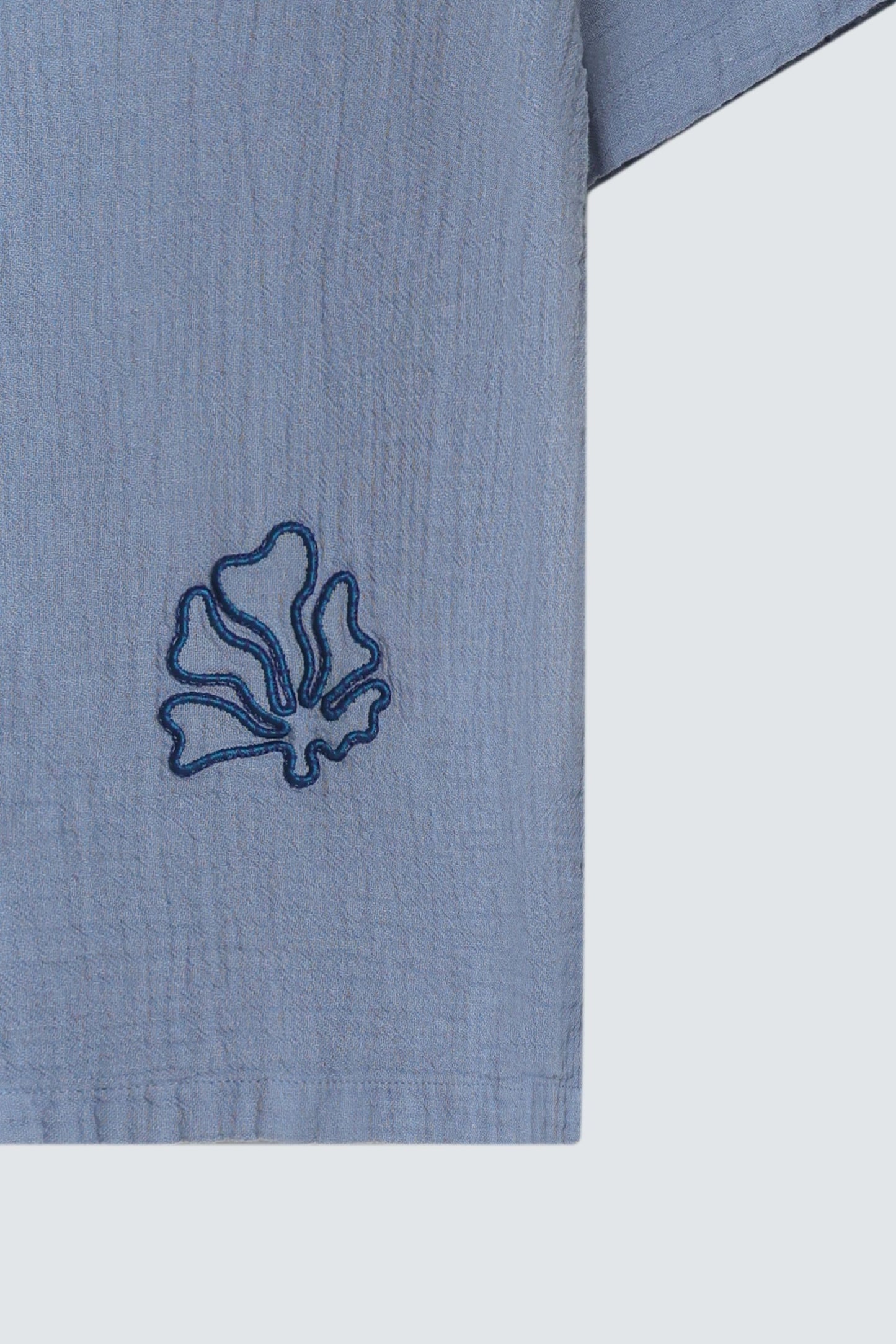 Pale Blue