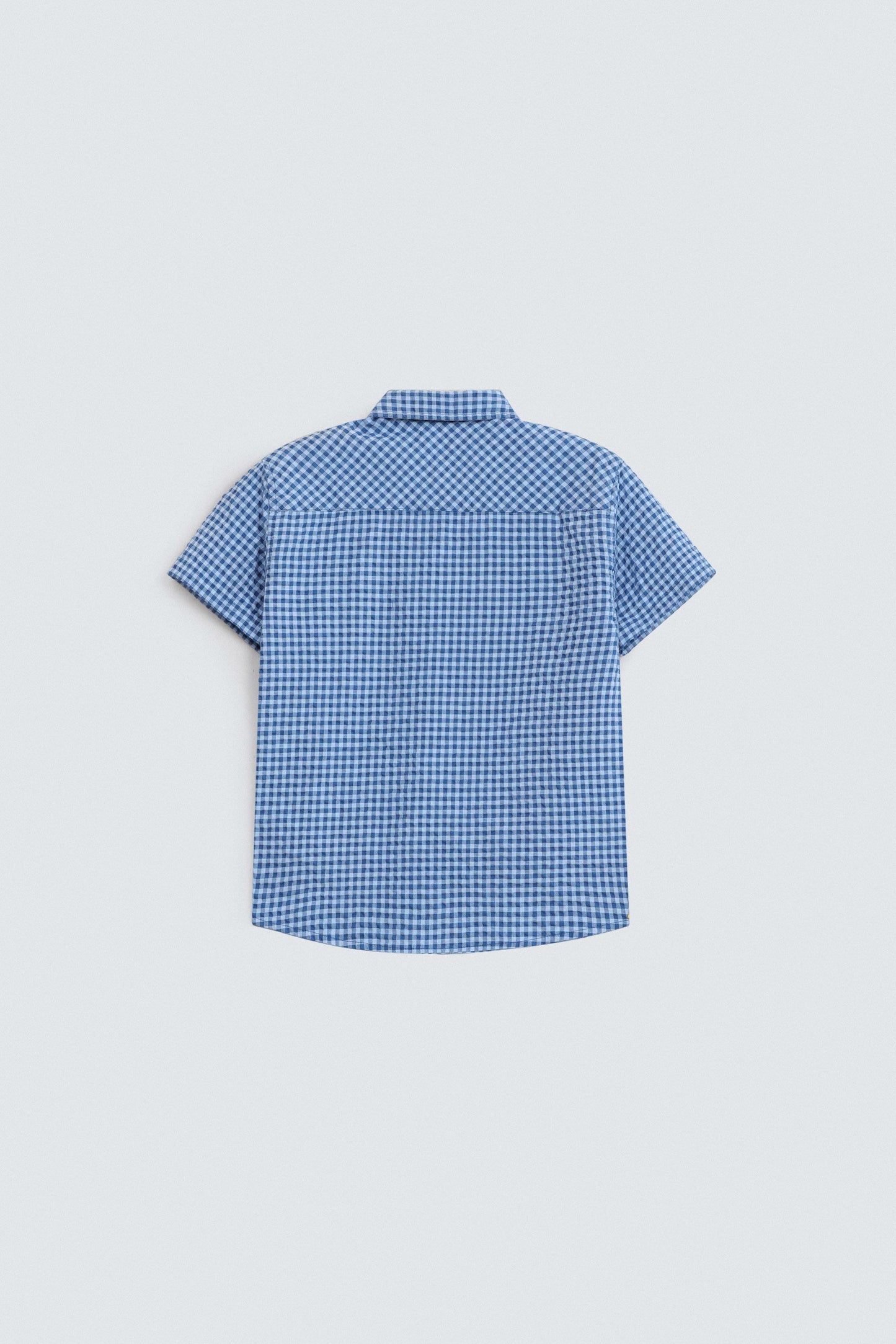 Multi Color