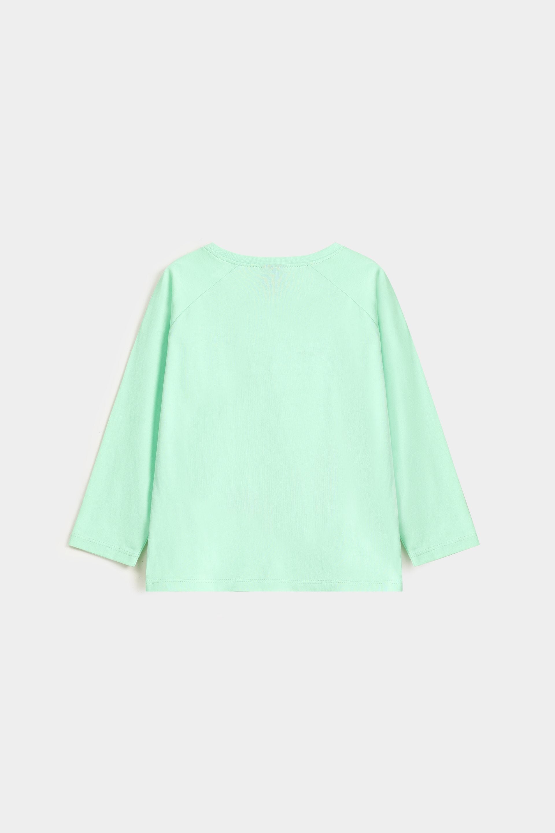 Pastel Green