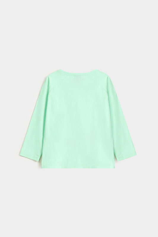 Pastel Green