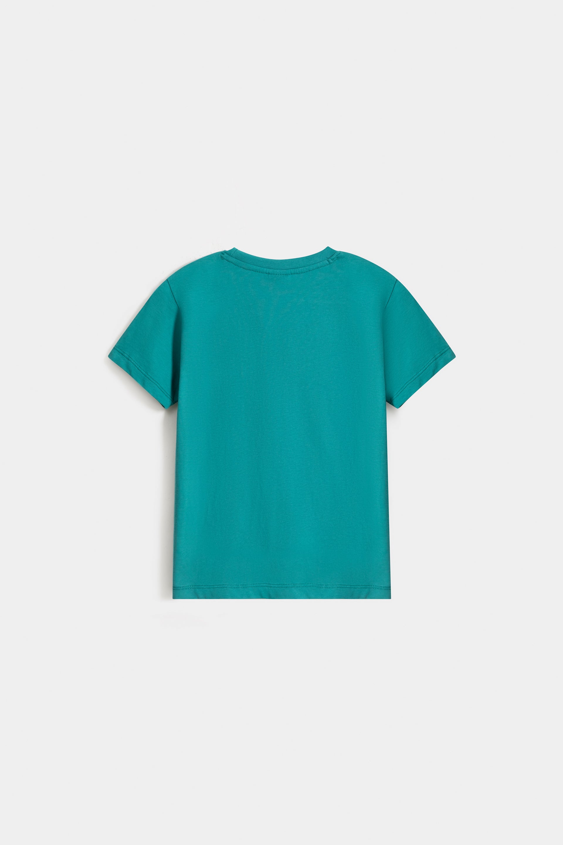 Dark Sea Green