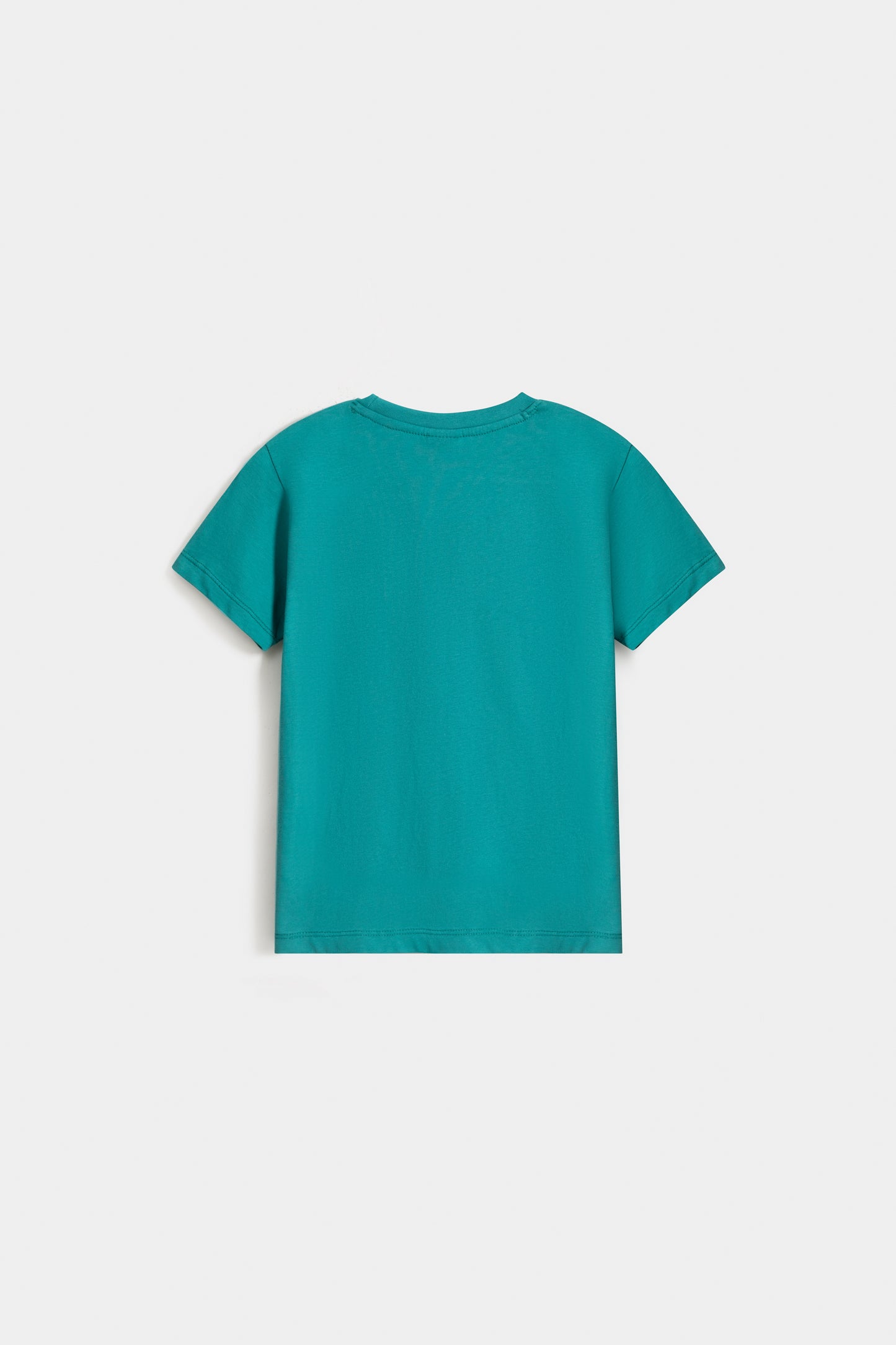 Dark Sea Green