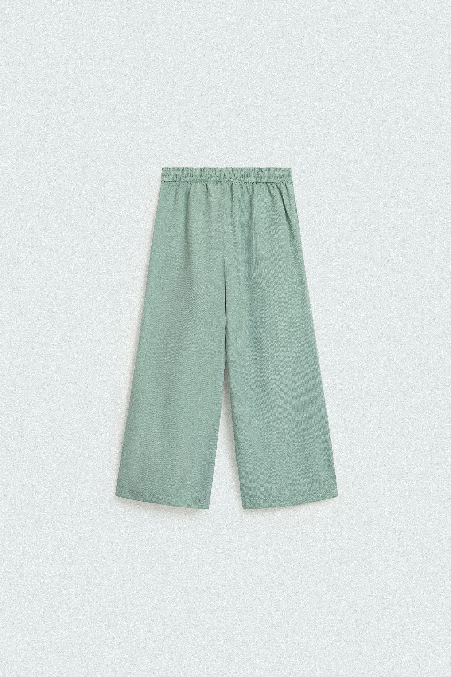 Light Sea Green