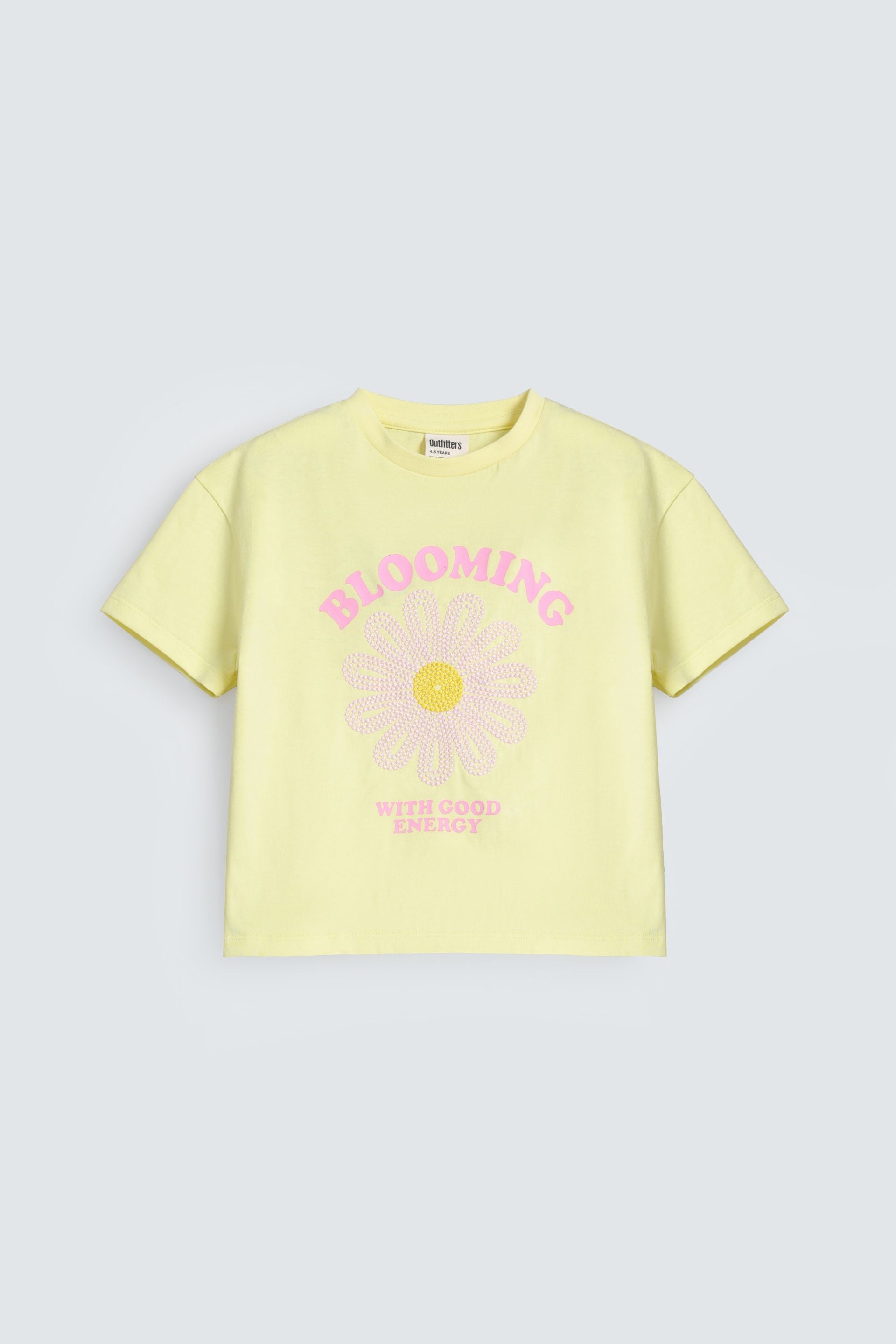 Cropped Embroidered T-Shirt