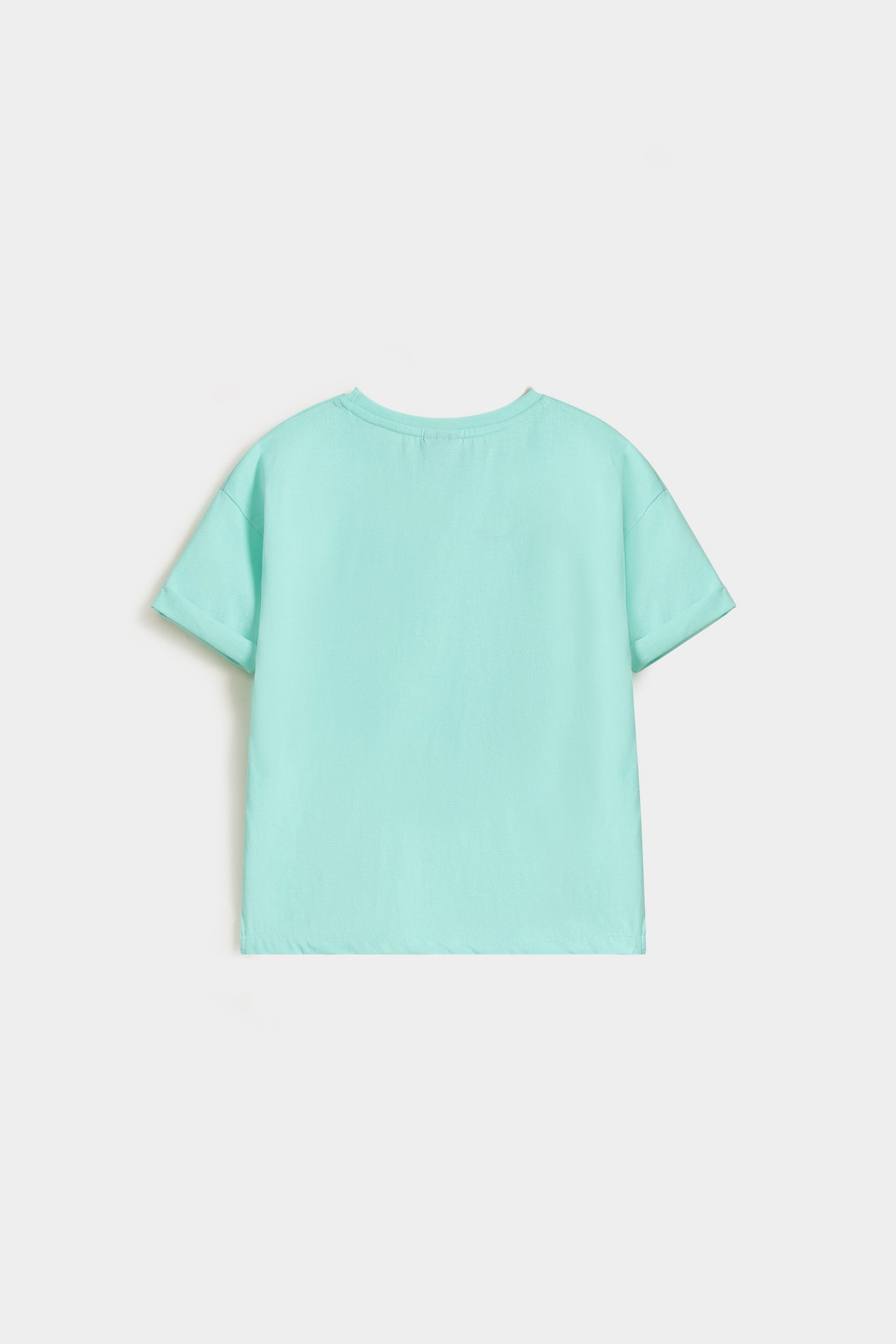 Light Sea Green