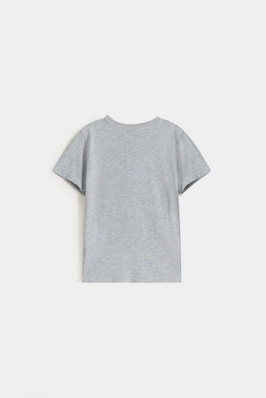 Light Grey Marl