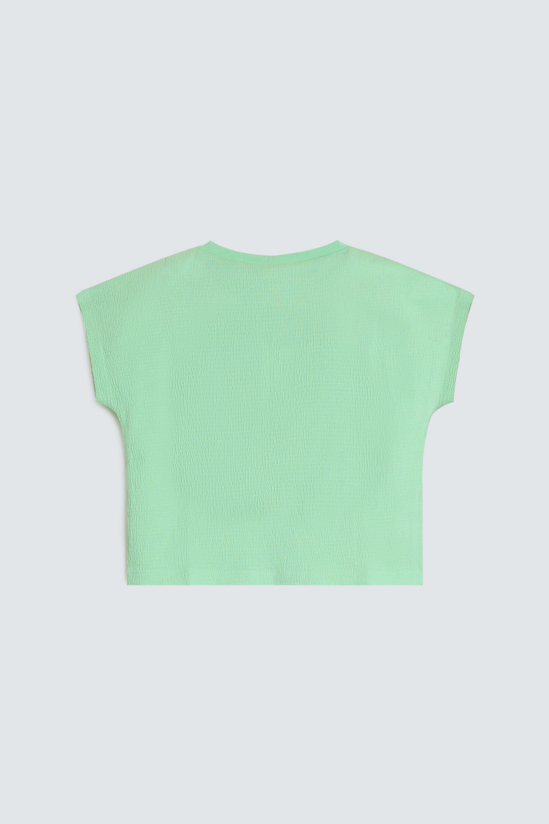 Light Sea Green