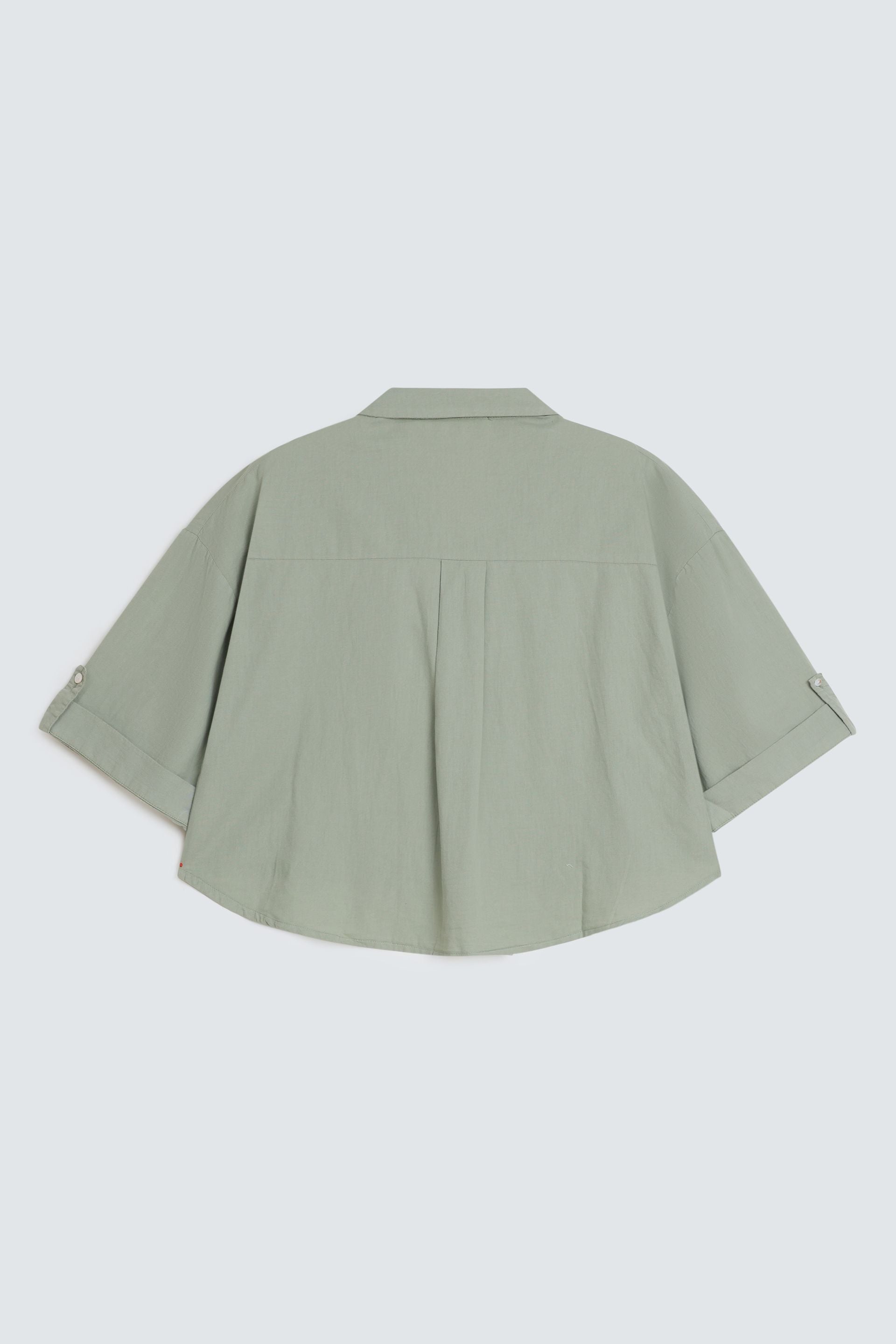 Dull Green