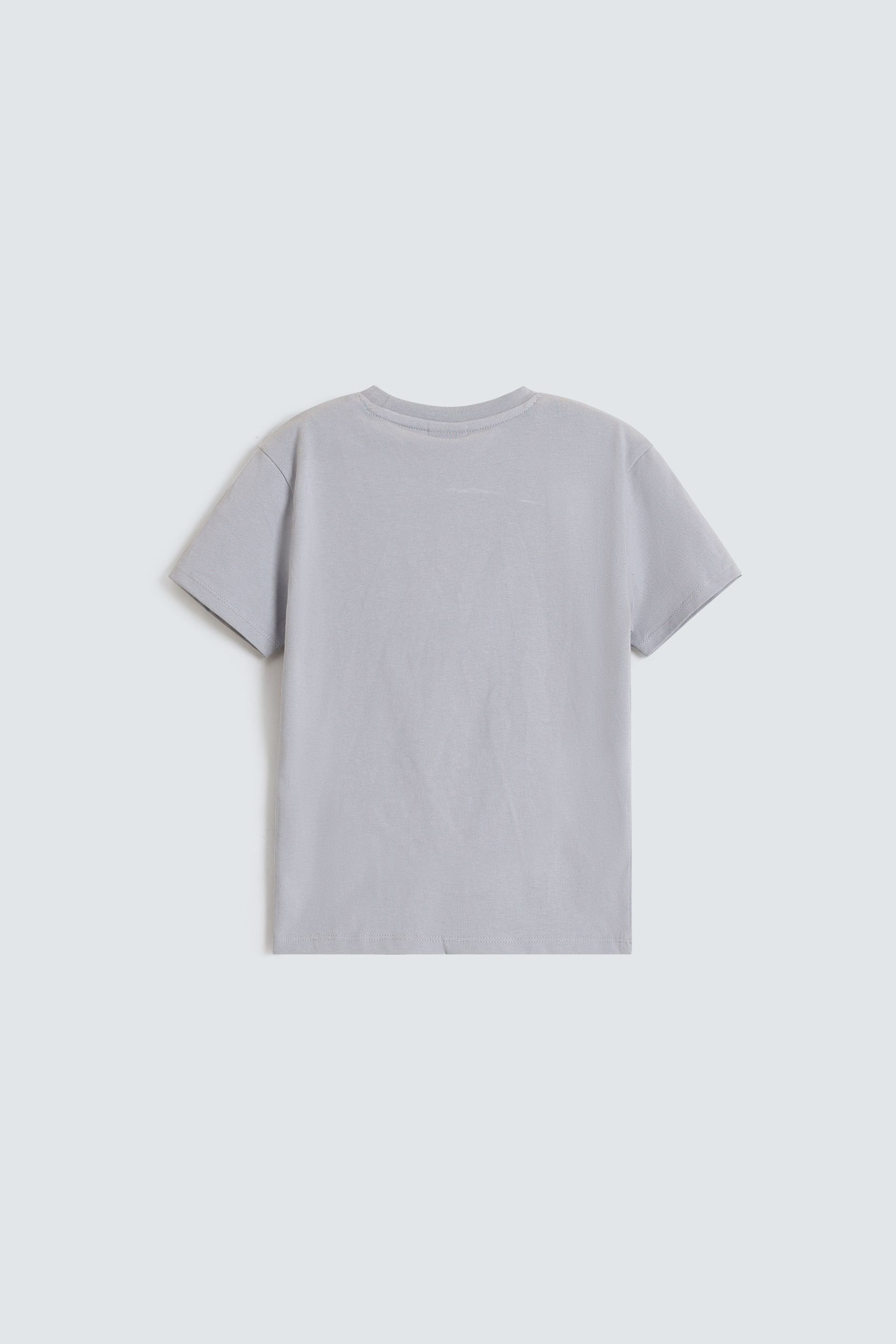 Pale Grey