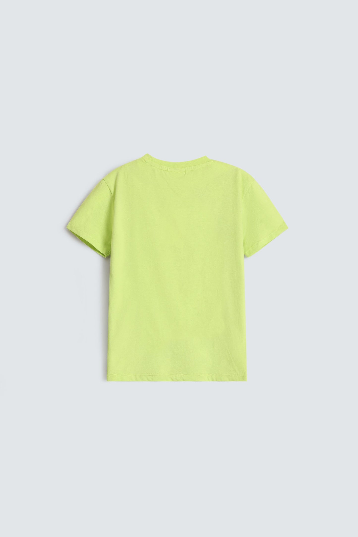 Parrot Green Fluorescent