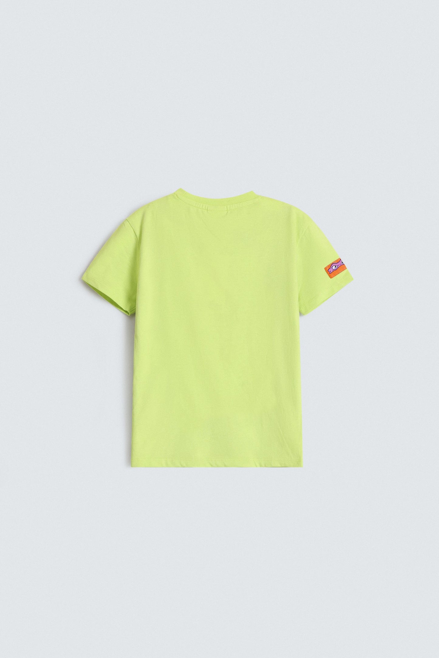 Parrot Green Fluorescent